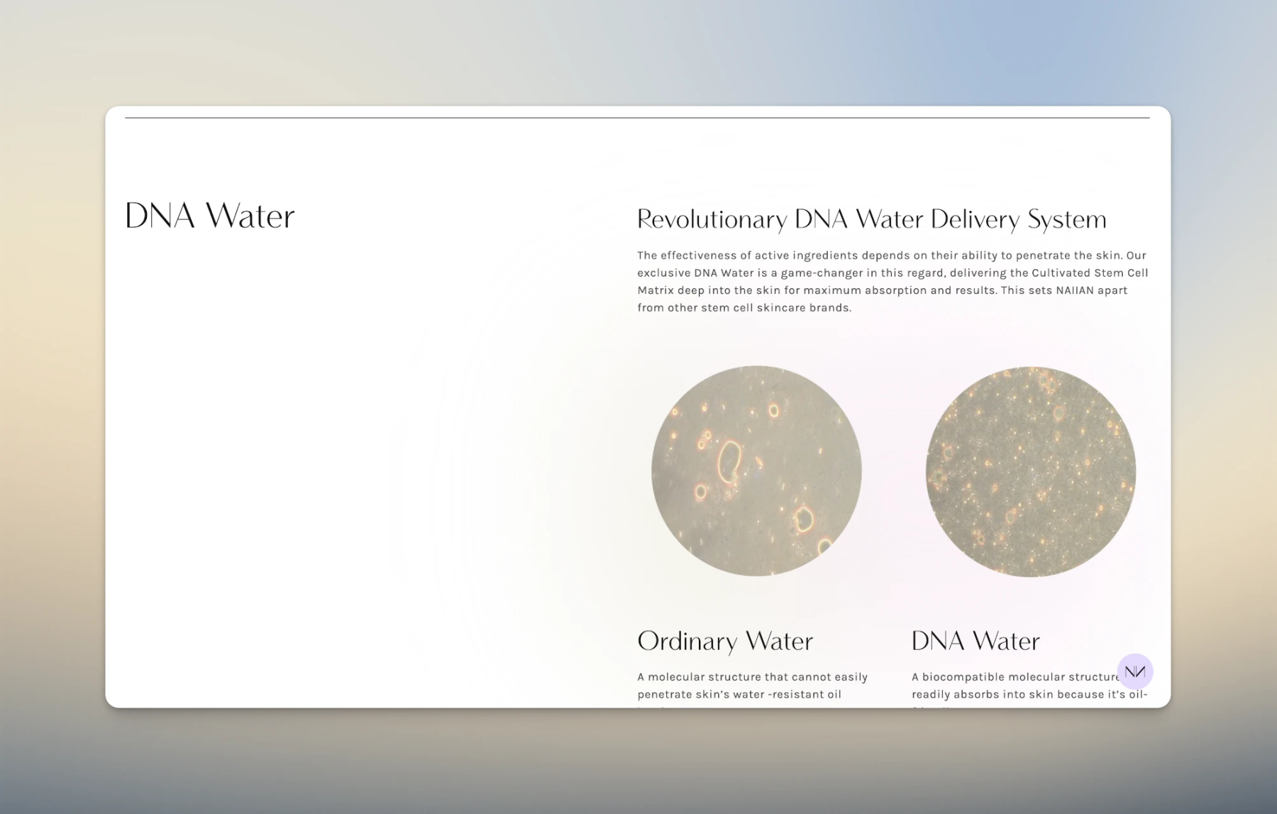 Product Info Landing Page Info Section