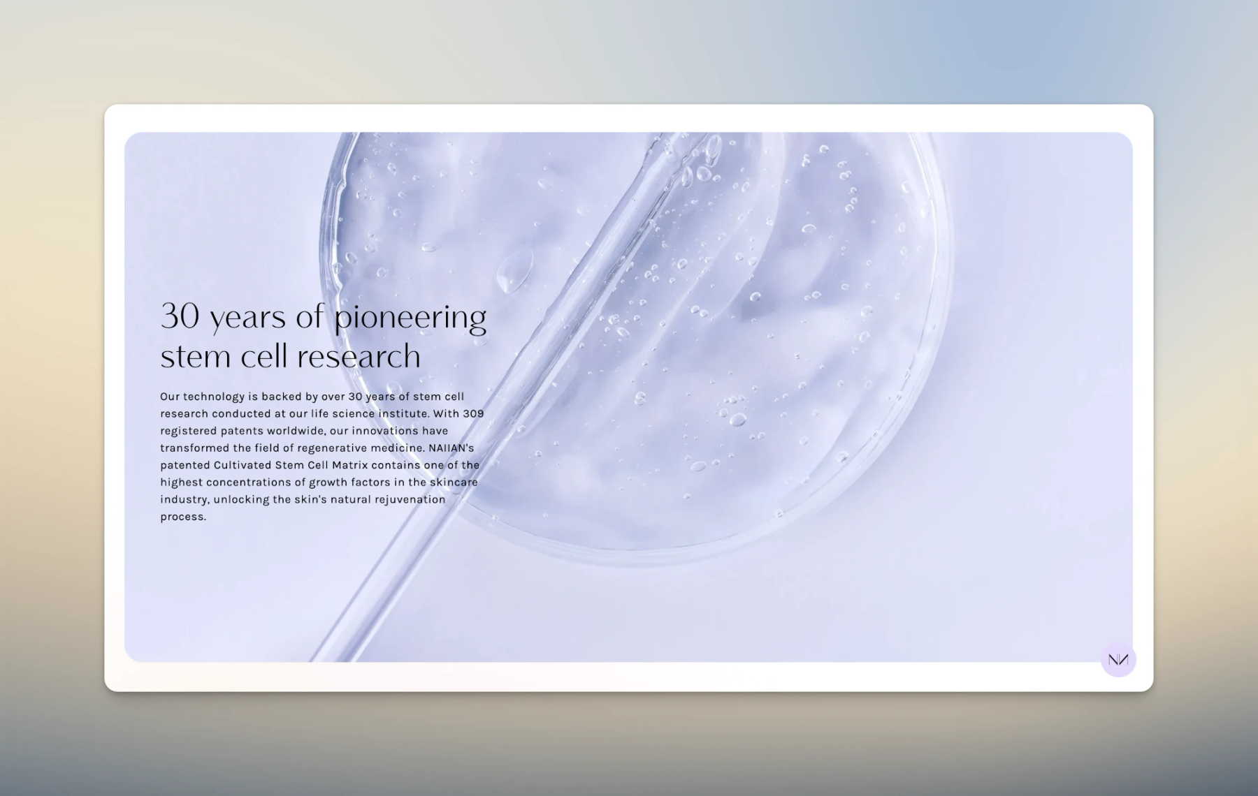 Full Width Banner