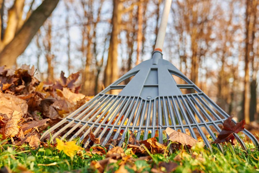 Secure More Autumn Landscaping Work by Sending Quotes First thumbnail