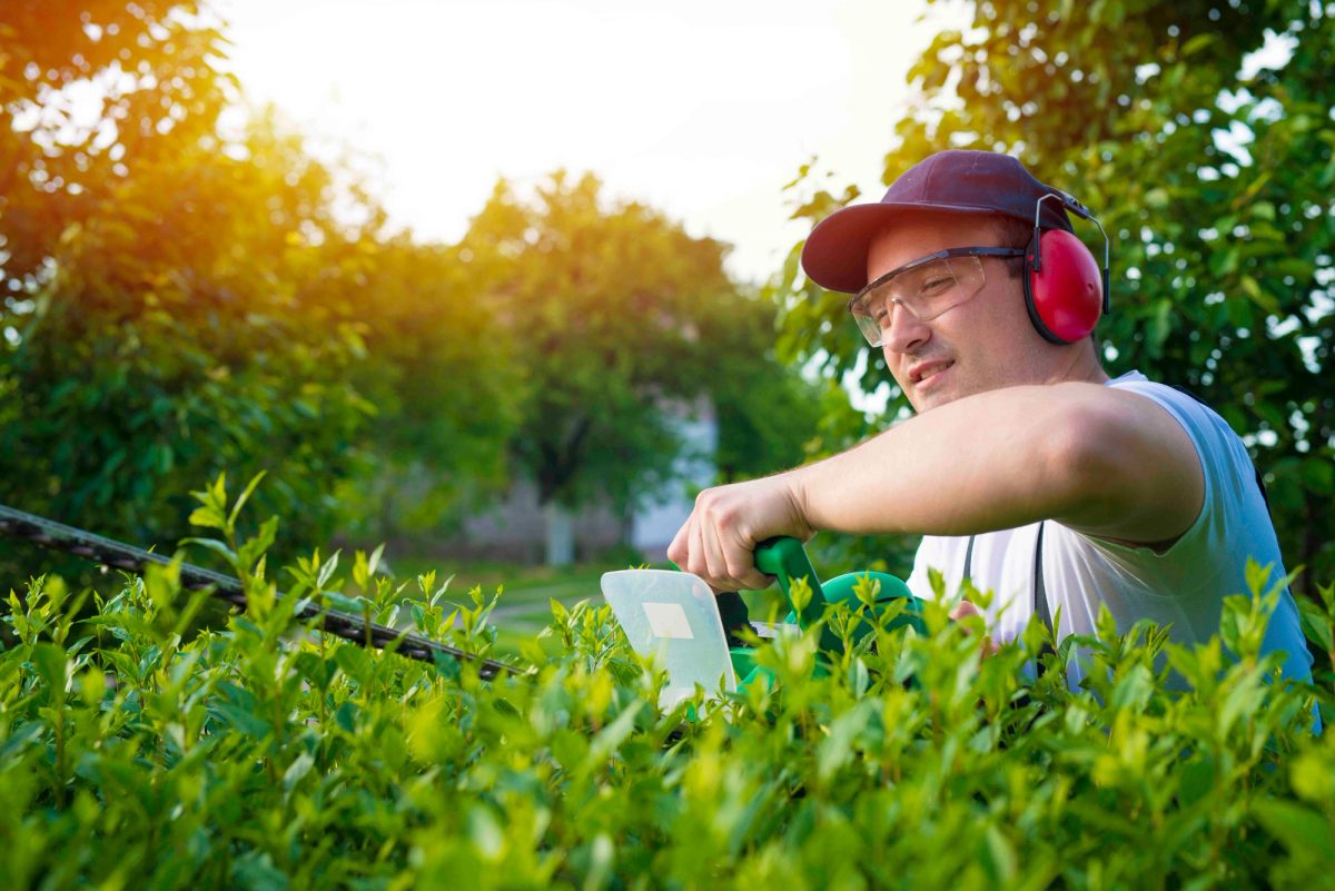 How AI Helps Landscapers Create Detailed Job Quotes