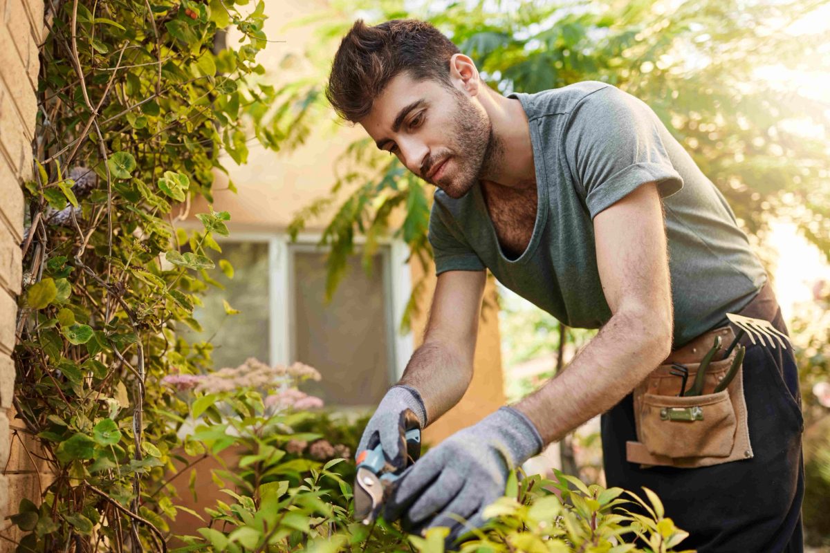 Get Landscaping Invoices Paid Faster with AI Follow-Ups