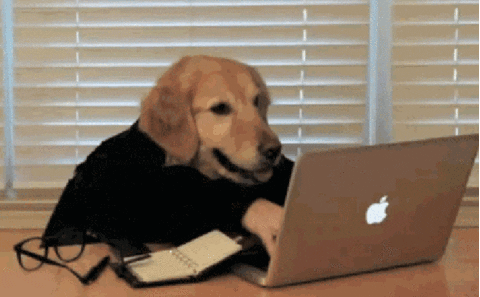 En golden retriever i tröja skriver på en bärbar dator, med en anteckningsbok och glasögon bredvid.