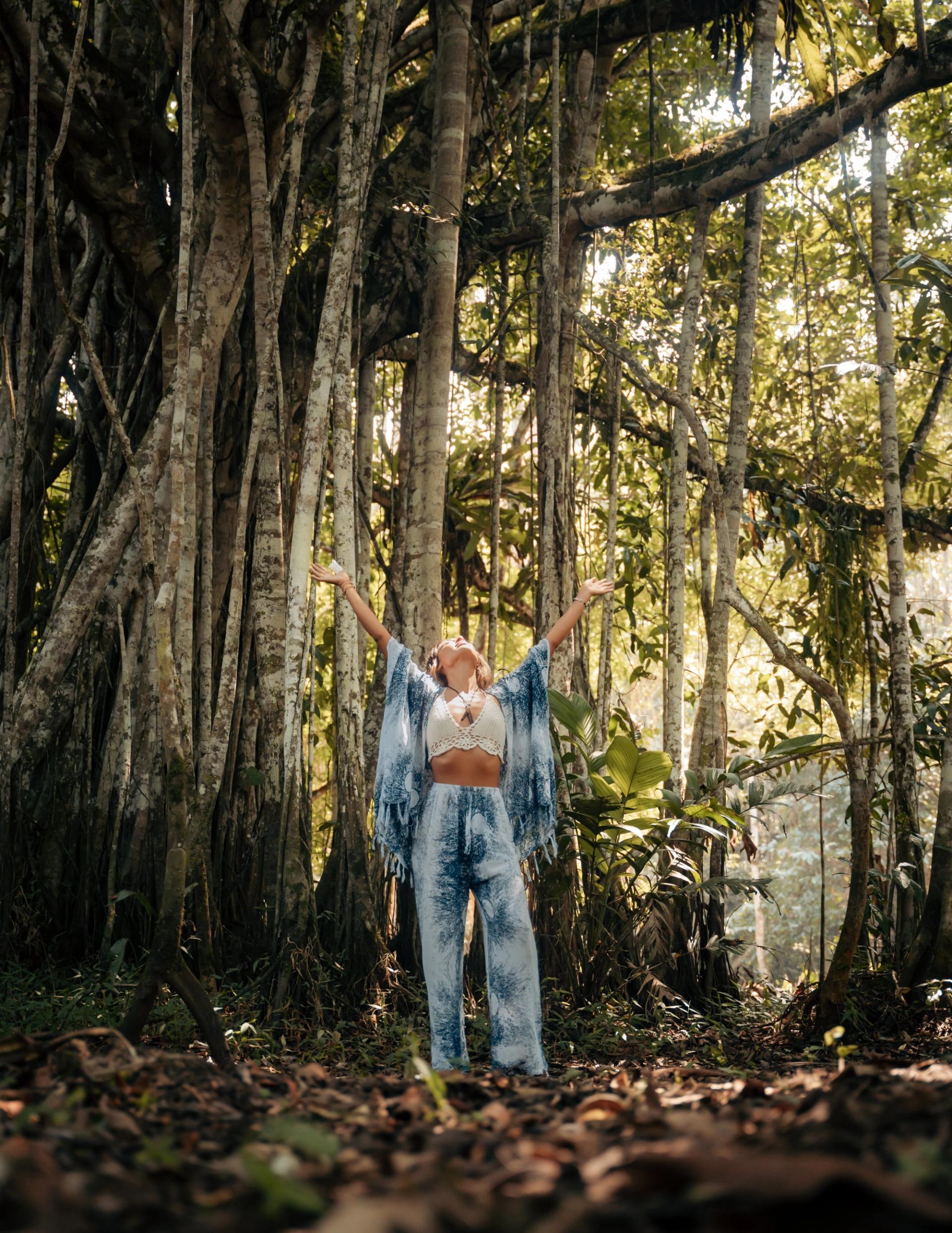 Off-the-Grid Escapes: Remote Eco-Lodges in the Amazon Rainforest