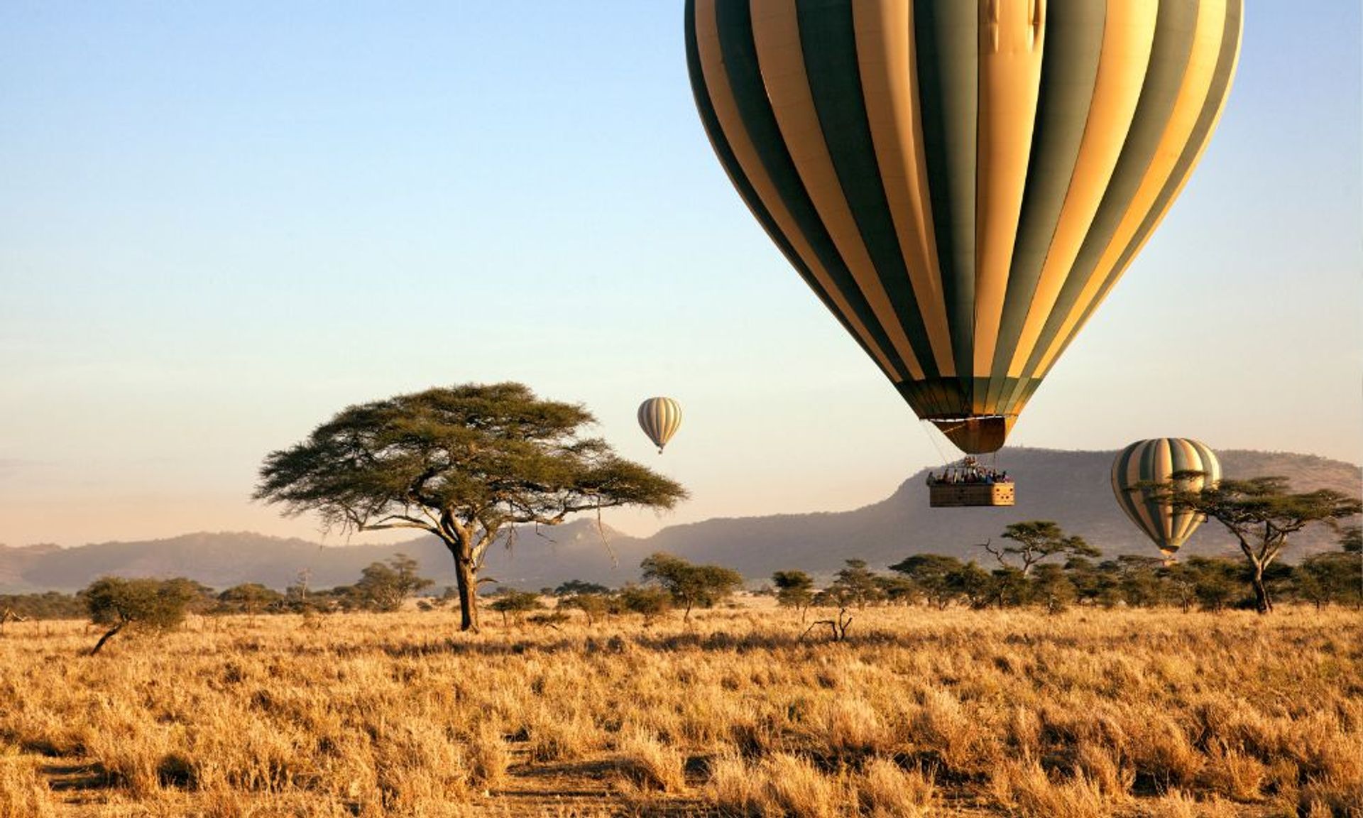 Tanzania Travel Guide: Safari In Serengeti, Mount Kilimanjaro, And Zanzibar