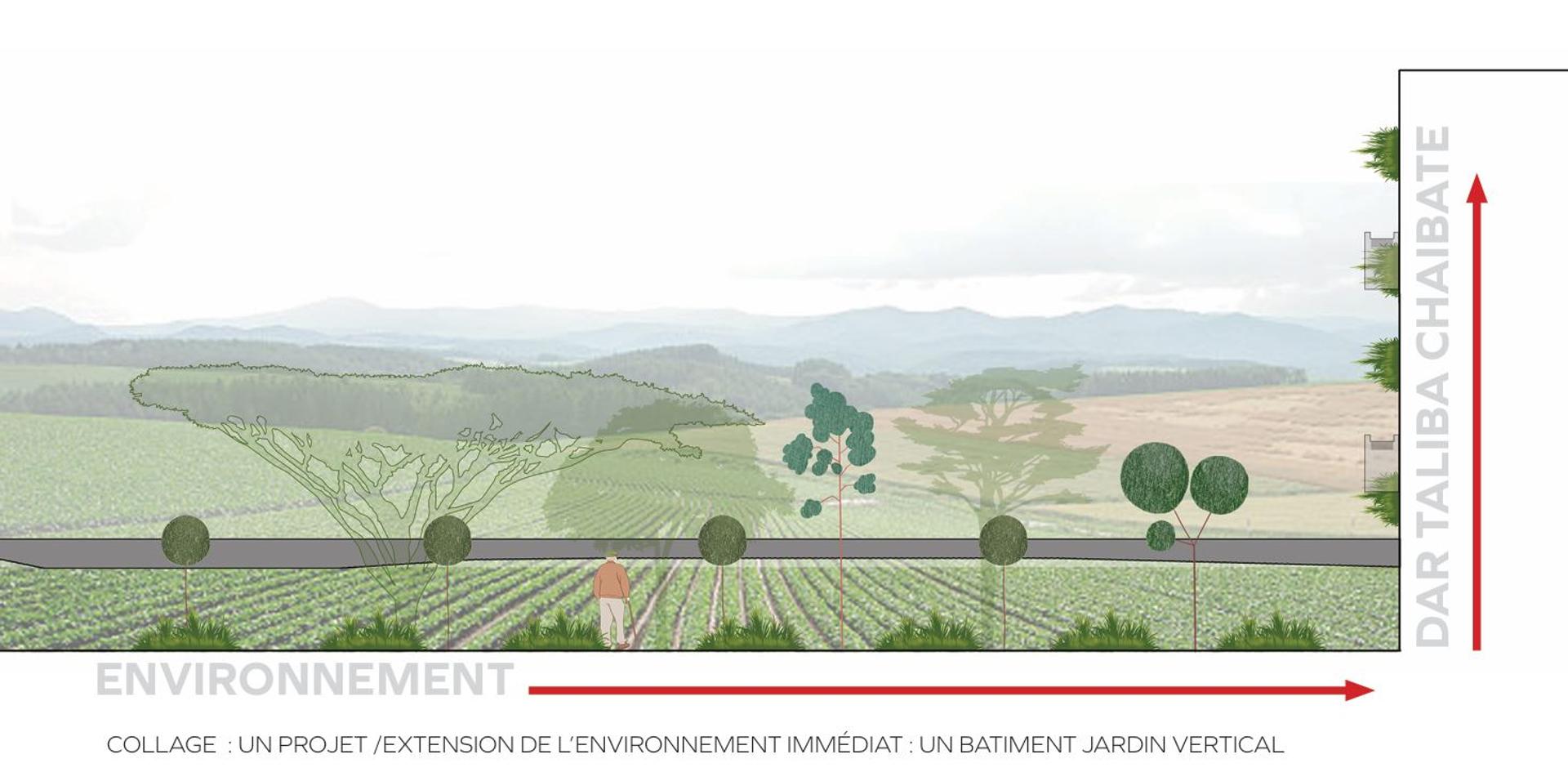 Dar Taliba CHAIBATE, vue 7 — projet équipement