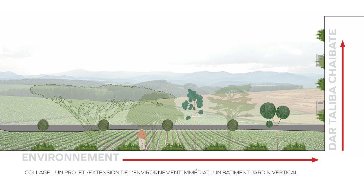 Dar Taliba CHAIBATE, vue 7 — projet équipement