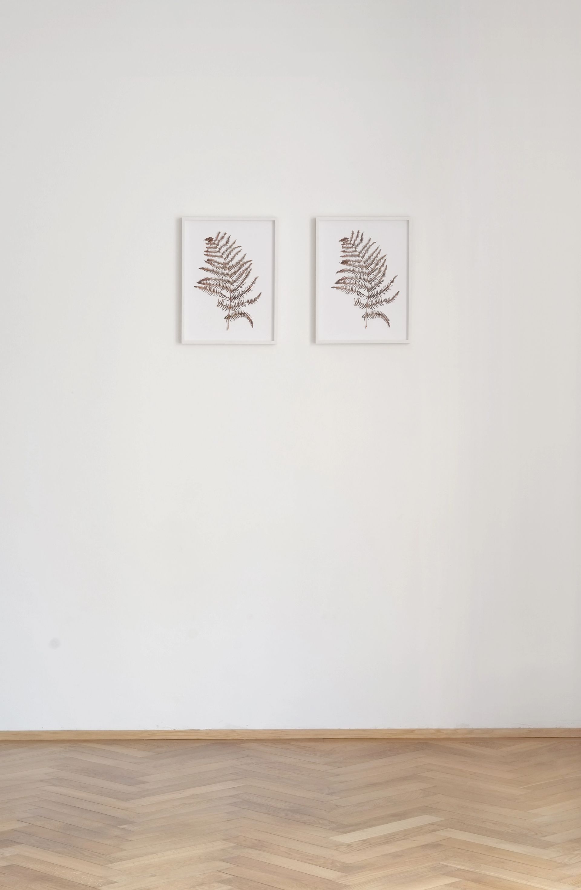 Alex Grein, Farnblatt (two parts), 2015, Cutout InkJet Print, 30 × 40 cm each