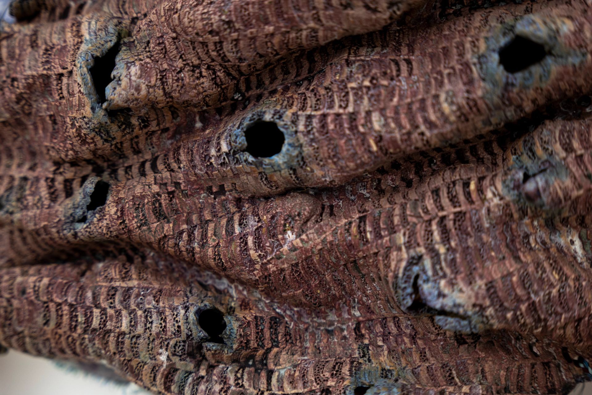 Isabel Nuño de Buen, Codex 50 (thinking of you – 1.8. light years distant), 2025, Paper maché, wire, glazed ceramic, yarn, transparent paper, paper, graphite, charcoal, watercolor, muslin, hand dyed fabric, hand made cords
47.5 × 48 × 12 cm (Courtesy: Chris Sharp, LA)