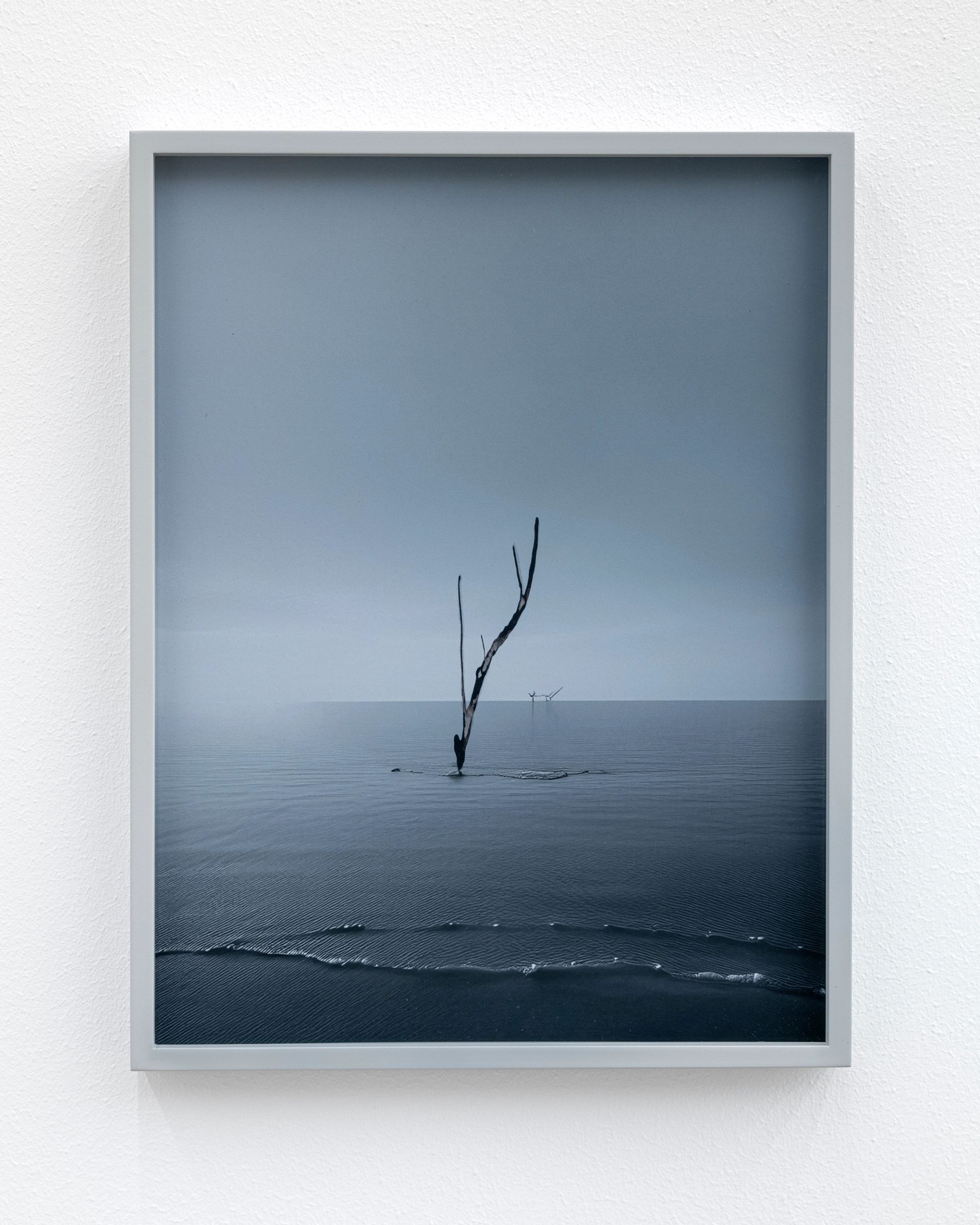 Anna Vogel, kill, 2025, pigment print, ink, frame finished in light gray, 34 × 26 cm (3 variations)