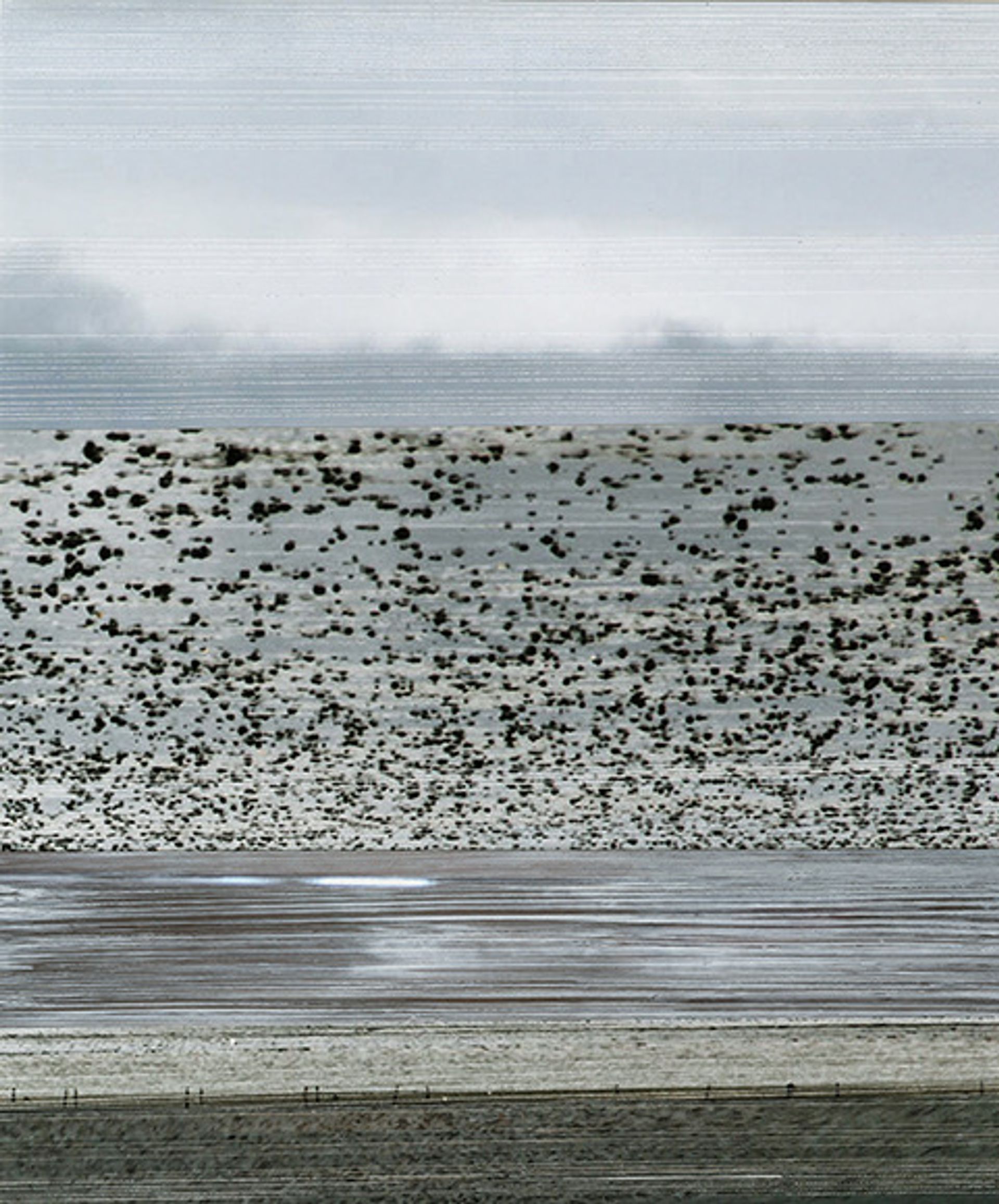 From birds and sheep,, 2012, Inkjet print, acrylic, scratched, 21.8 × 30.5 cm