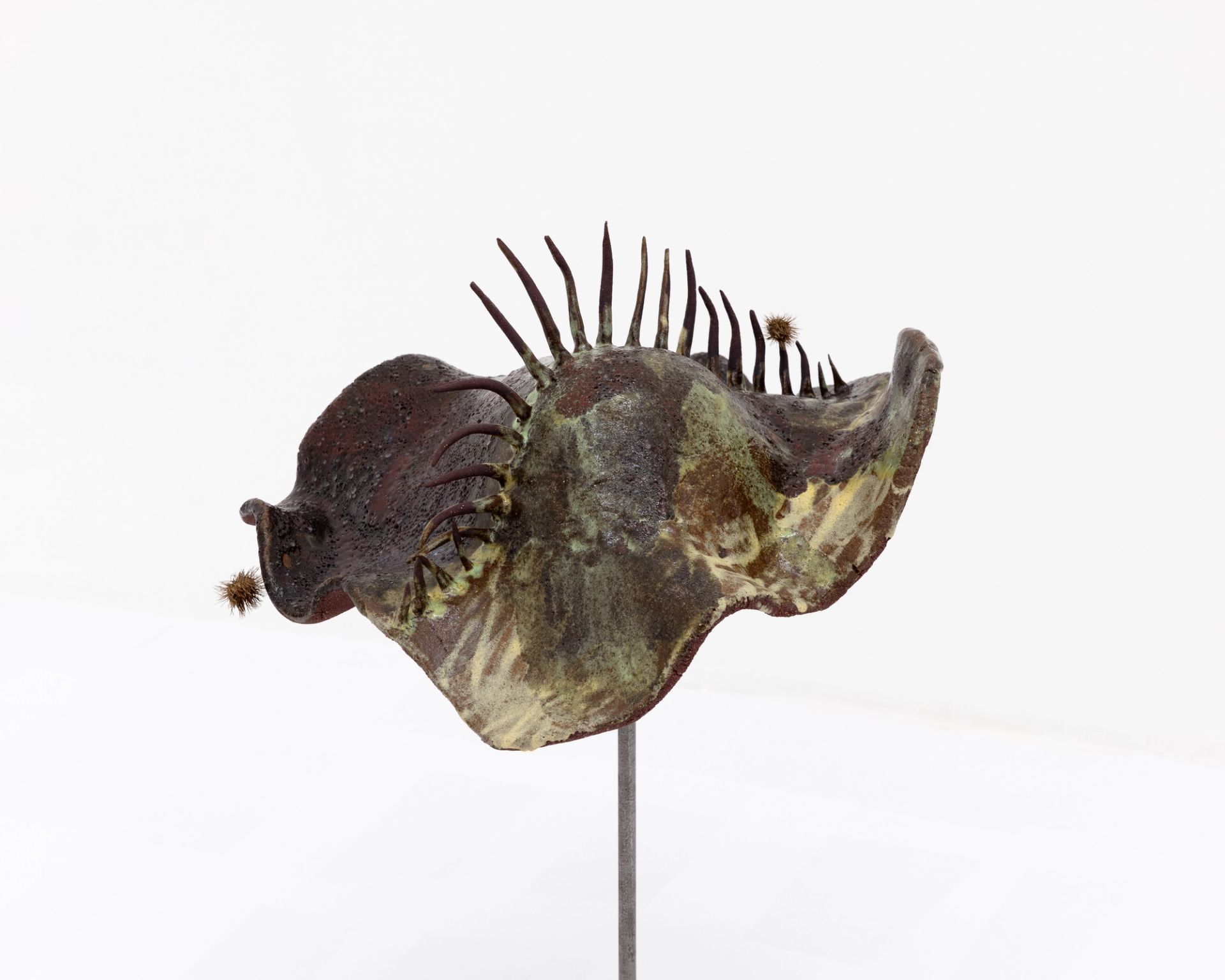 Young Shell, 2024, glazed ceramic stoneware, bramble, head approx. 40 × 45 × 30 cm