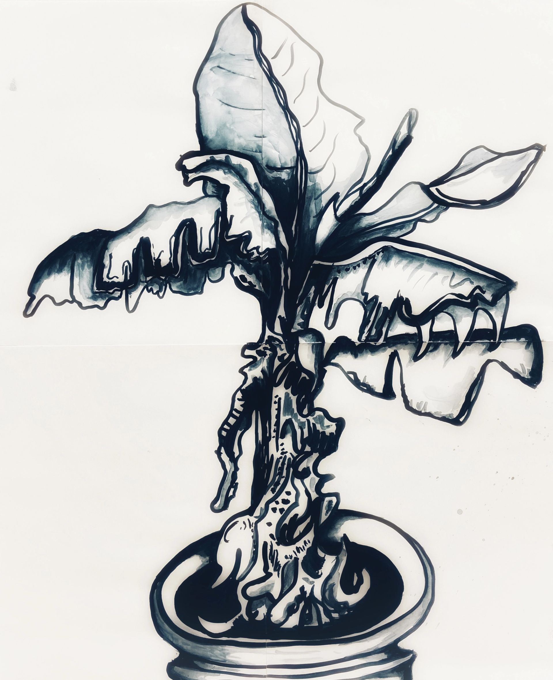 Anna McCarthy, “Banana Plant (Finale)”, 2020, indian ink on paper, 56.5 × 48 cm