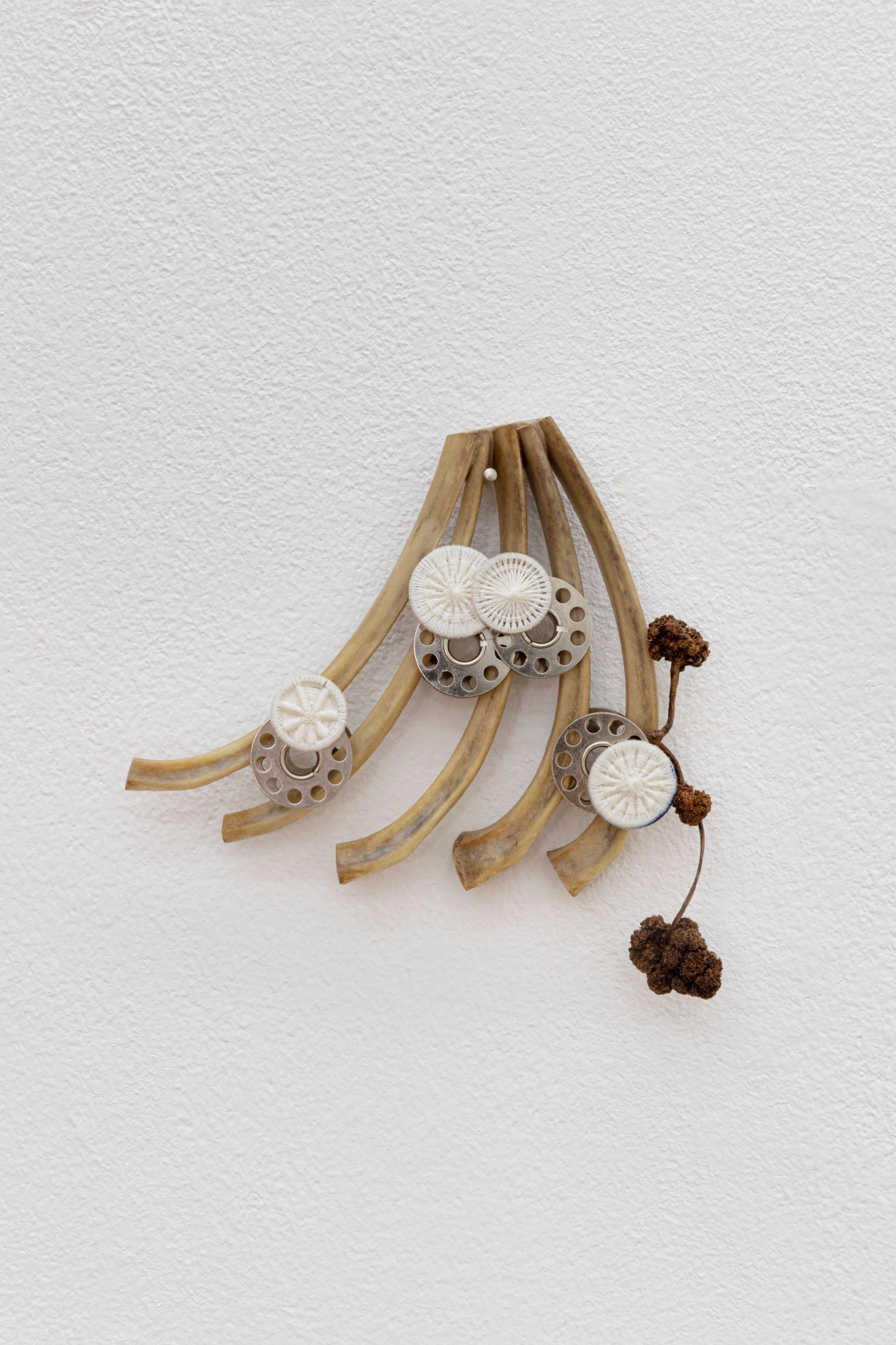 David Fesl, Untitled, 2021, lamb ribs, sewing machine coils, cotton thread, bedcloth buttons, ink and willow blossoms, 11 × 12.6 × 3.3 cm, photo: Sebastian Kissel 