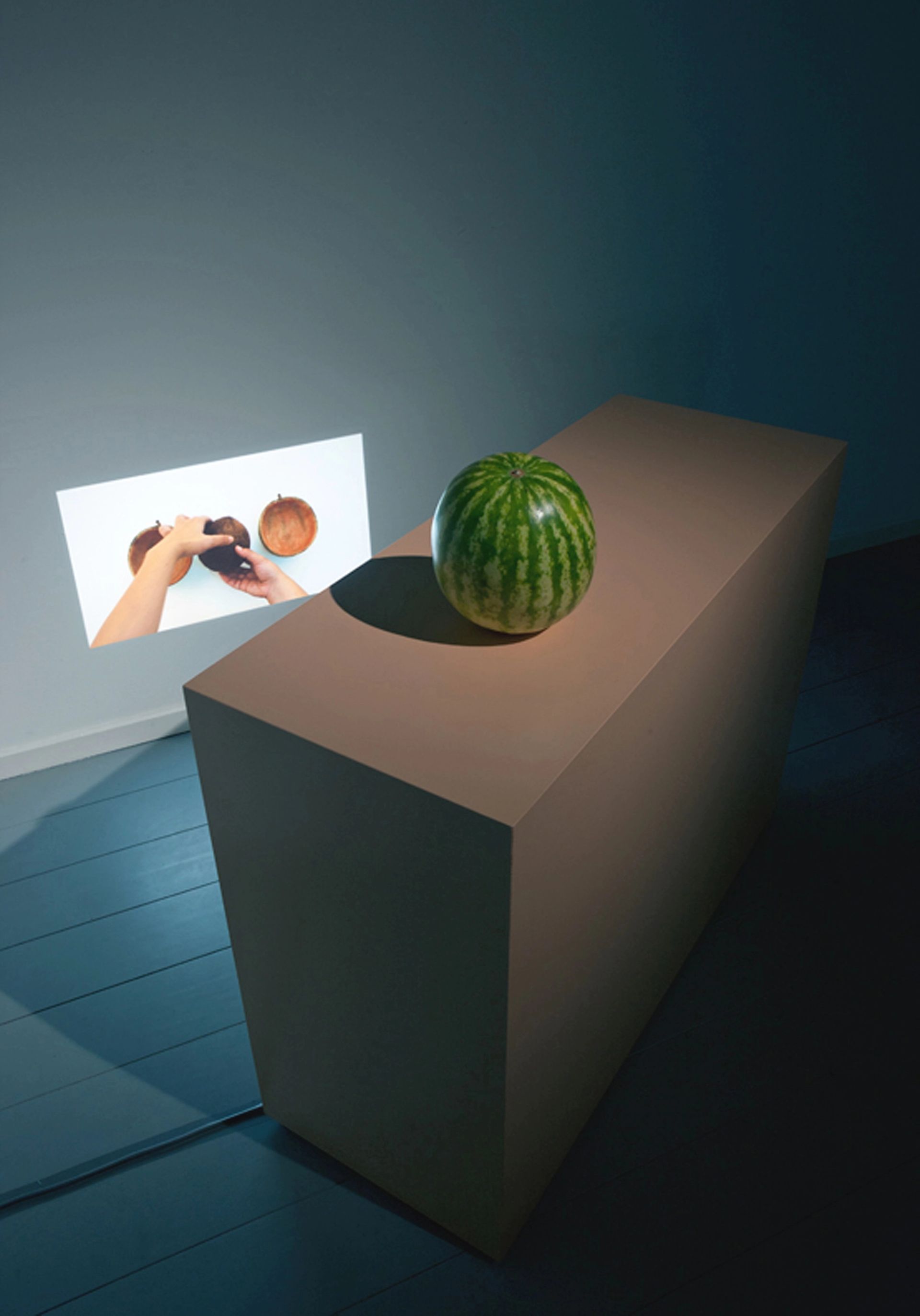 Ana Navas, Untitled (fruits), 2012, videoinstallation, photo: Gert Jan van Rooij