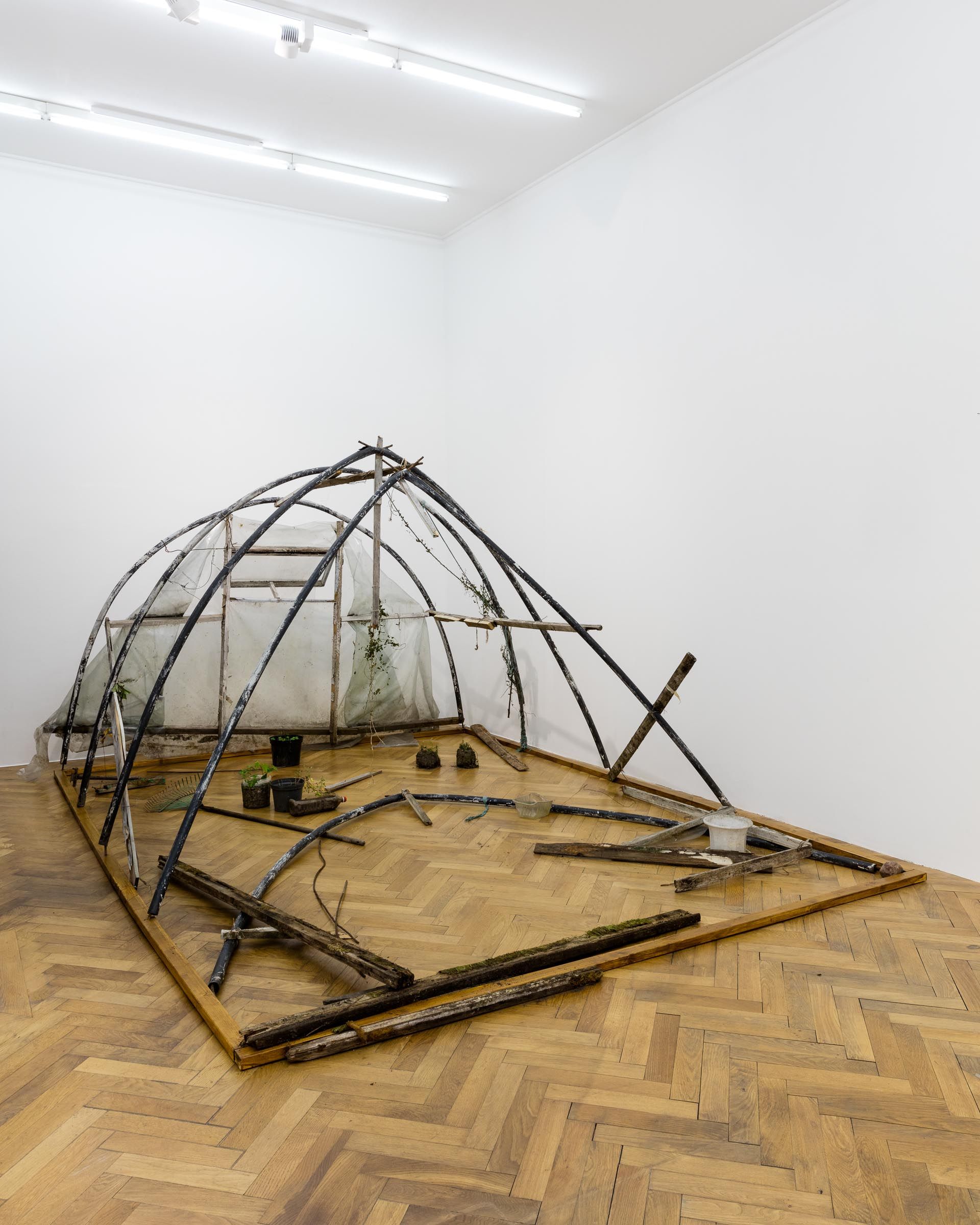Augustas Serapinas, Greenhouse from Užupis, 2019, found glass house structure, found  plants and objects,  400 × 210 × 300 cm, dimensions variable