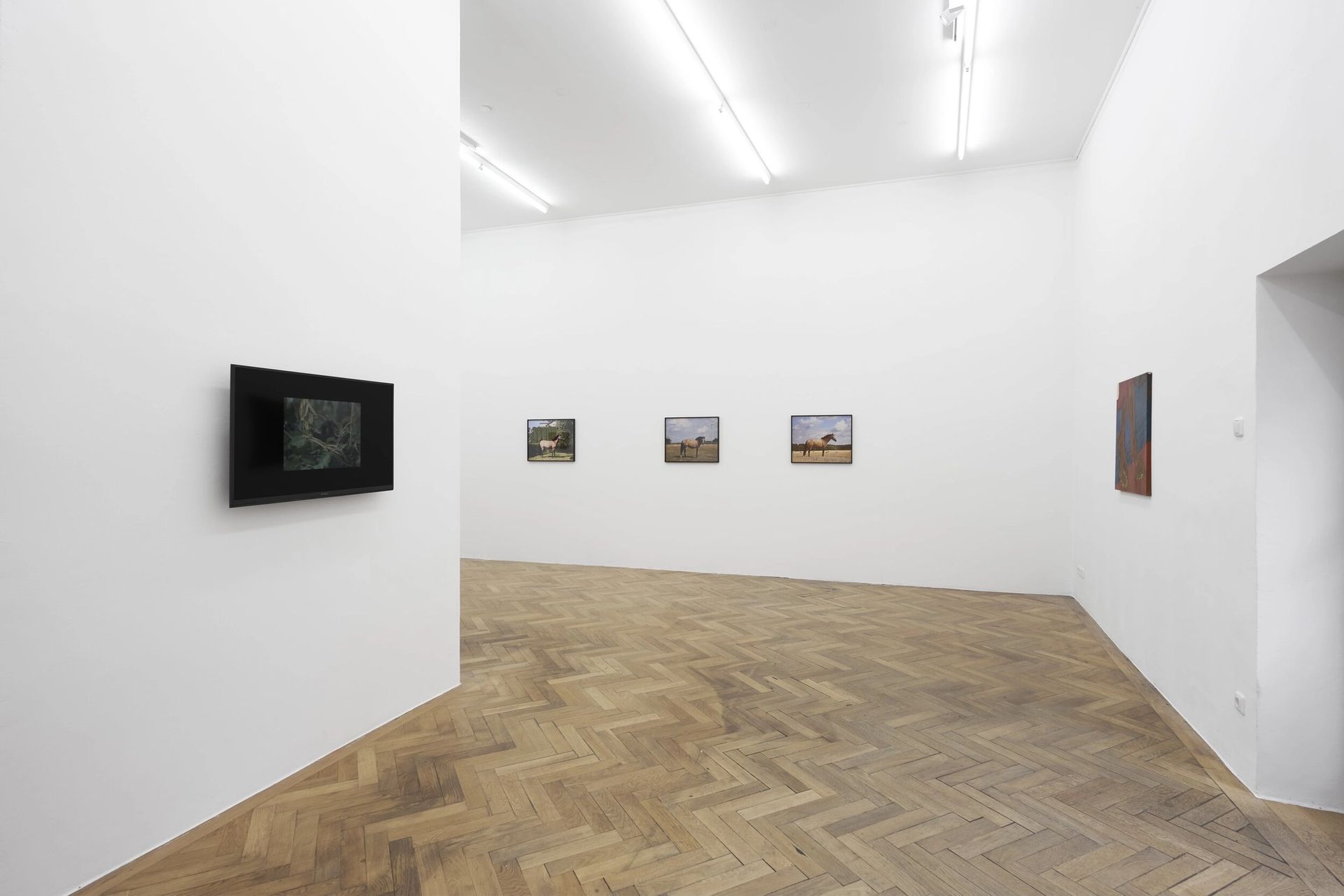 Installation view: „Various Others 2020“, Lena Henke, Dominique Knowels, Megan Francis Sullivan in cooperation with Galerie Emanuel Layr, photo: Ulrich Gebert