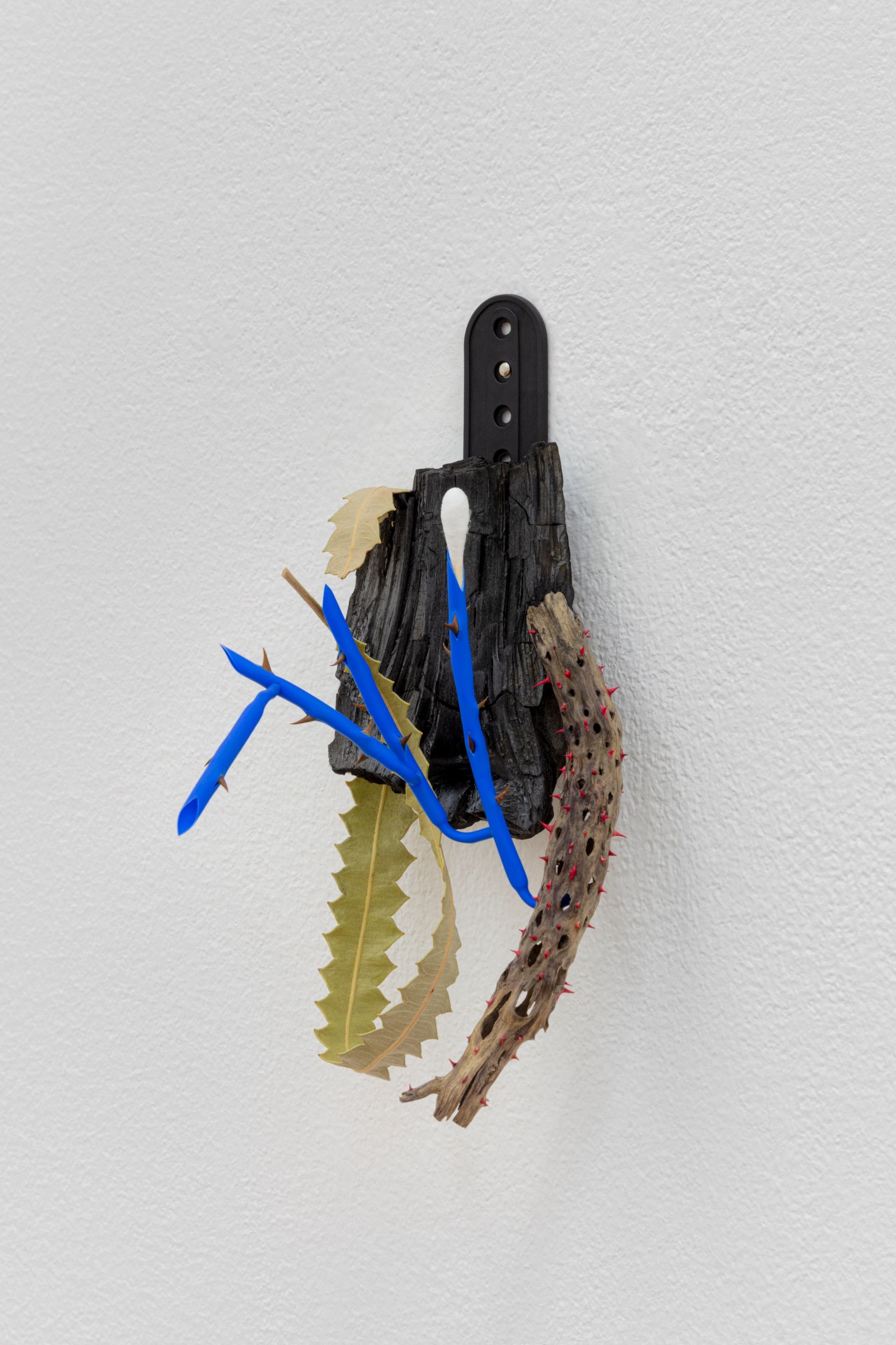 David Fesl, Untitled, 2021, cap buckle, spruce wood, banksia leaf, driftwood, thistle thorns, heat shrink tube, rosehip thorns, cotton swab, 16.5 × 7.3 × 8.3 cm, photo: Sebastian Kissel