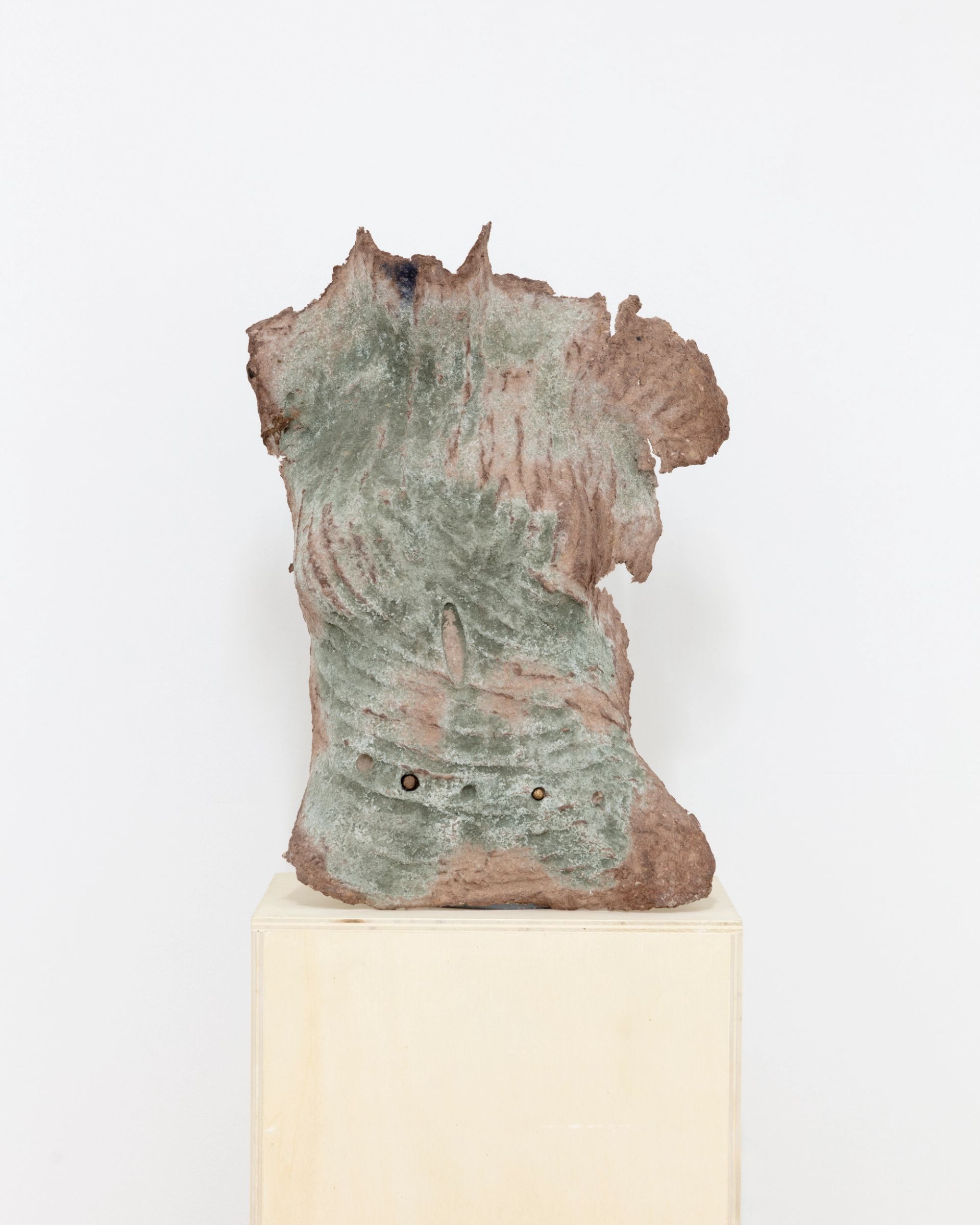Anousha Payne, Mouldy bust, 2024, flour, pva glue, mould, bronze, 55 × 40 × 15 cm