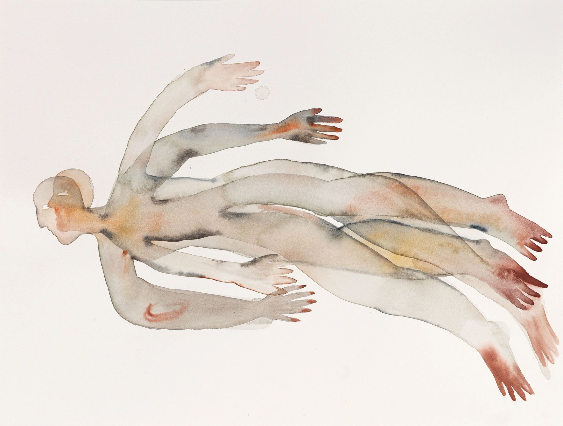 Anousha Payne, Murmurations (study) 1, 2025, watercolour on paper, 31 x 41 cm | 12 1/4 x 16 1/8 in