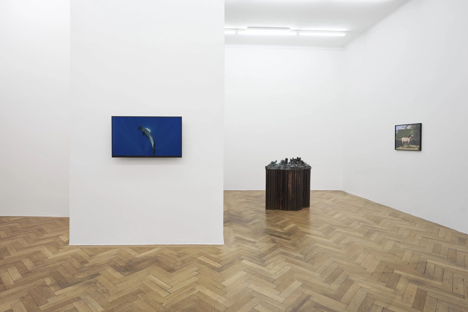 Installation view: „Various Others 2020“, Lena Henke, Dominique Knowels, Megan Francis Sullivan in cooperation with Galerie Emanuel Layr, photo: Ulrich Gebert