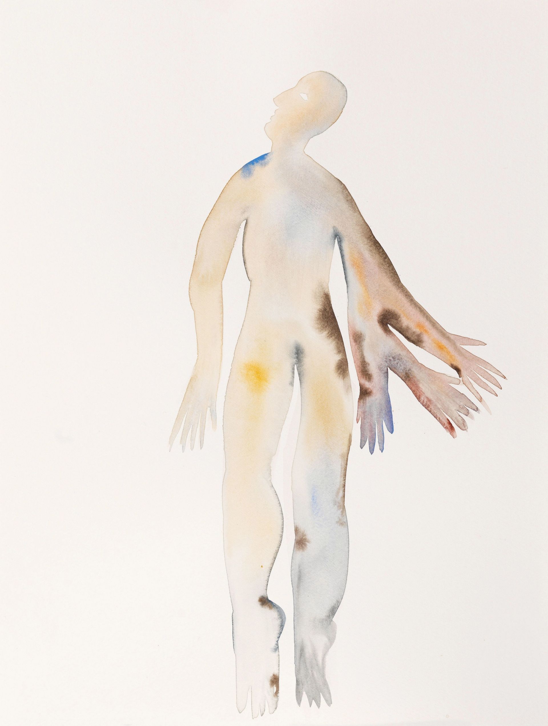 Anousha Payne, Murmurations (study) 2, 2025, watercolour on paper, 31 × 41 cm