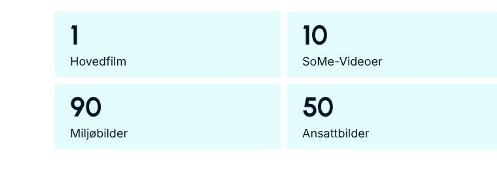 Leveranser fra én produksjon: 1 hovedfilm, 10 SoMe-videoer, 90 miljøbilder og 50 ansattbilder