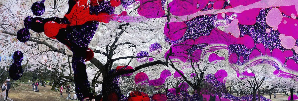Delia Dickmann Fotografie abstrakte weiße Kirschblüten Bäume mit Lava Lampe Überlagerung in rot und magenta 