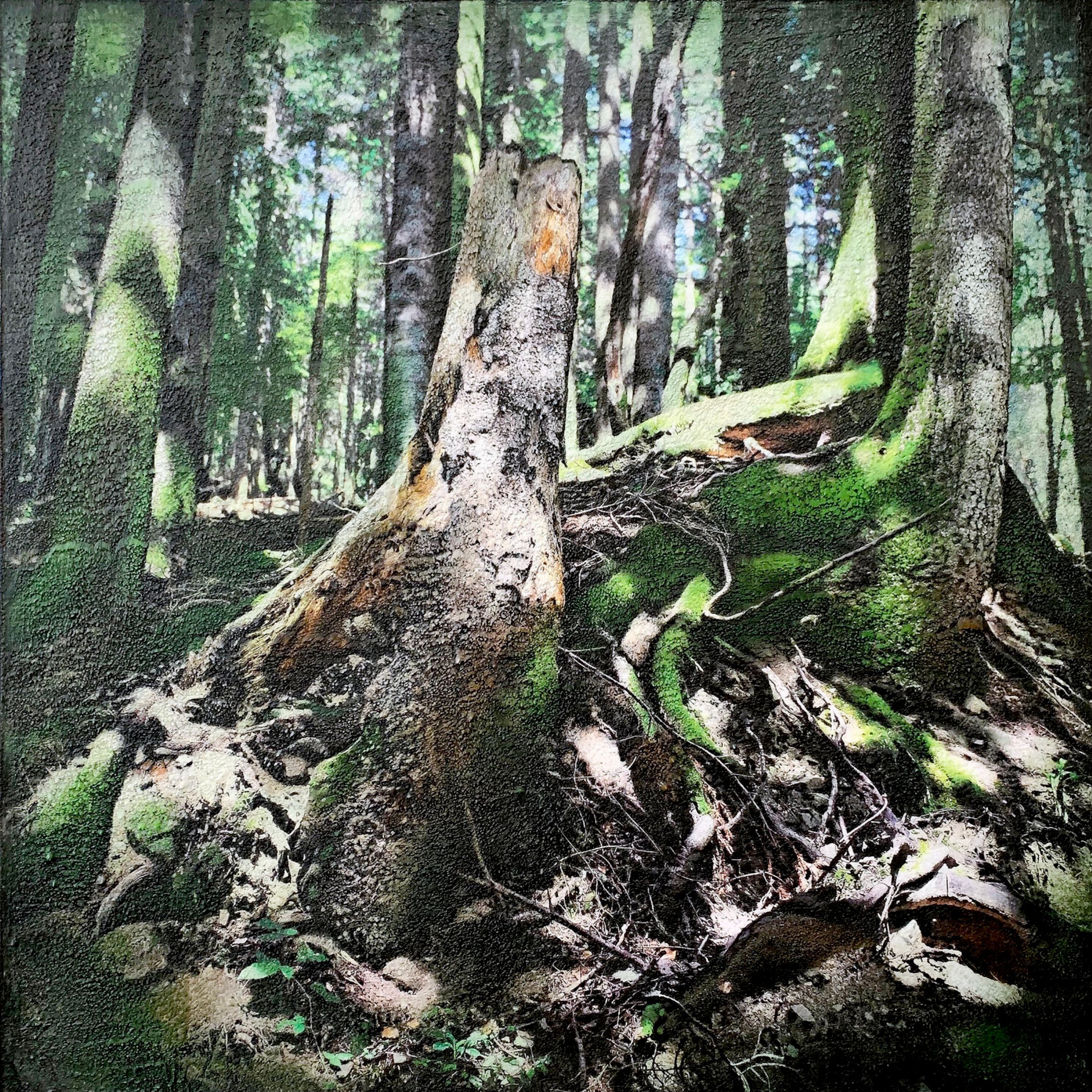 L'opera di Karin Vermeer "Riserva Statale Badia Prataglia-1" è una combinazione ed elaborazione digitale di fotografie, dipinti e collage in una nuova opera d'arte, molto strutturata e dettagliata. Ci si può quasi immergere in questo paesaggio forestale.