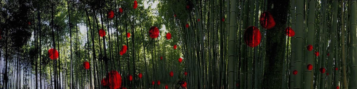 Delia Dickmann fotografía abstracta panorama bambú con círculos rojos