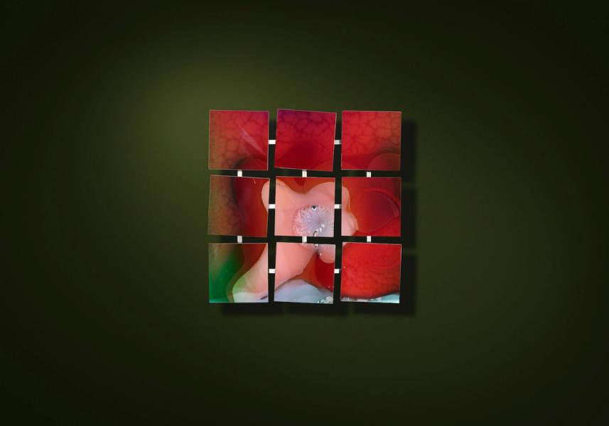 Michael Haegele Fotografie neun quadratisch angeordneten Spiegel mit abstrakter Reflektion auf grünem Hintergrund
