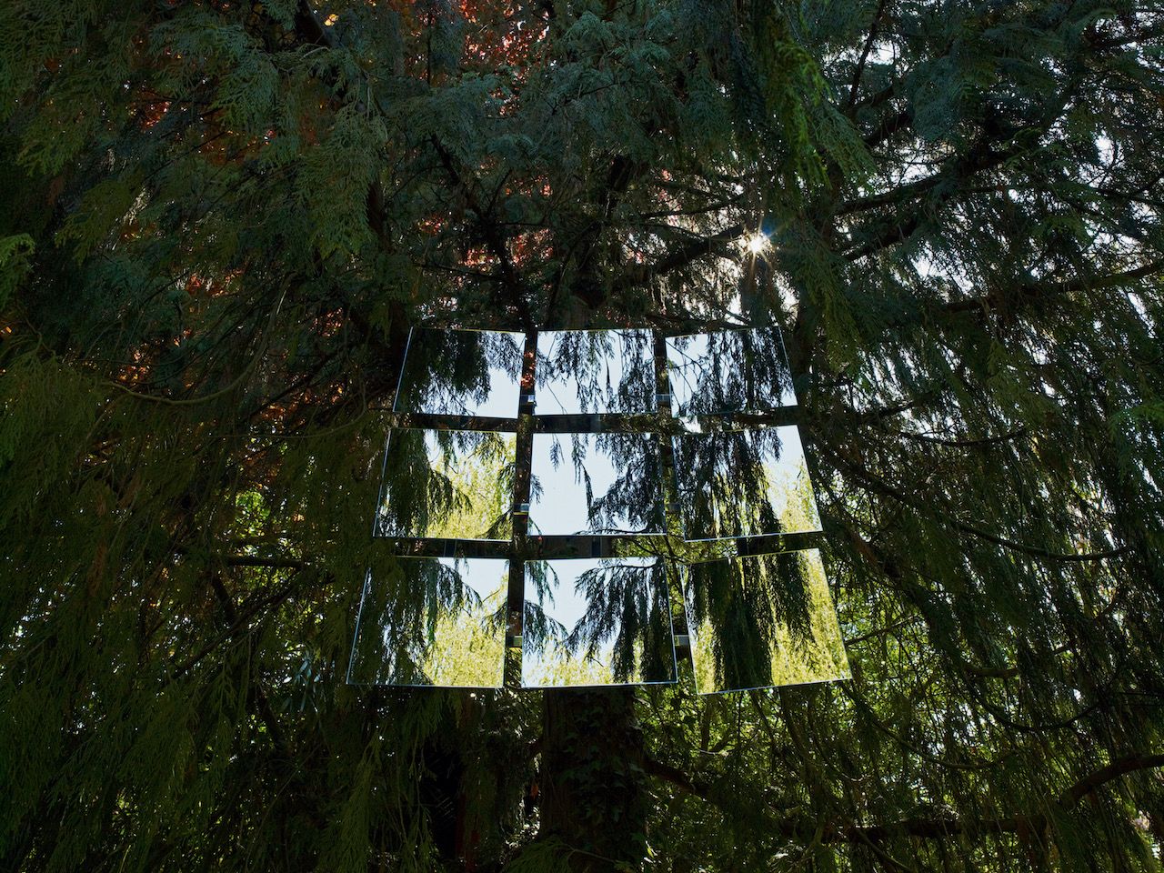 Michael Haegele Natur Fotografie Innen Sicht Baumkrone Nadelbaum und n angeordneten Spiegeln 