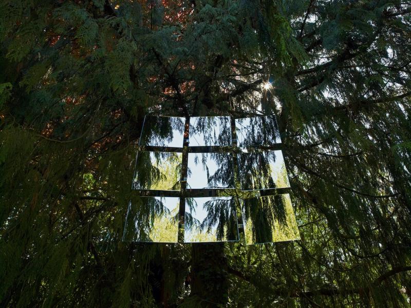 Michael Haegele Natur Fotografie Innen Sicht Baumkrone Nadelbaum und n angeordneten Spiegeln 