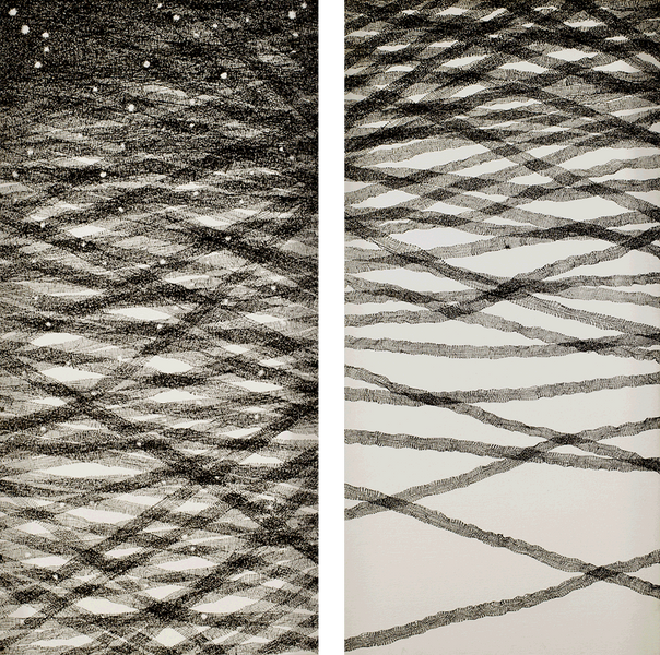 Maria Pia Pascoli abstrakte Malerei minimalistisch schwarze Linien auf weißem Hintergrund zweiteiliges Bild