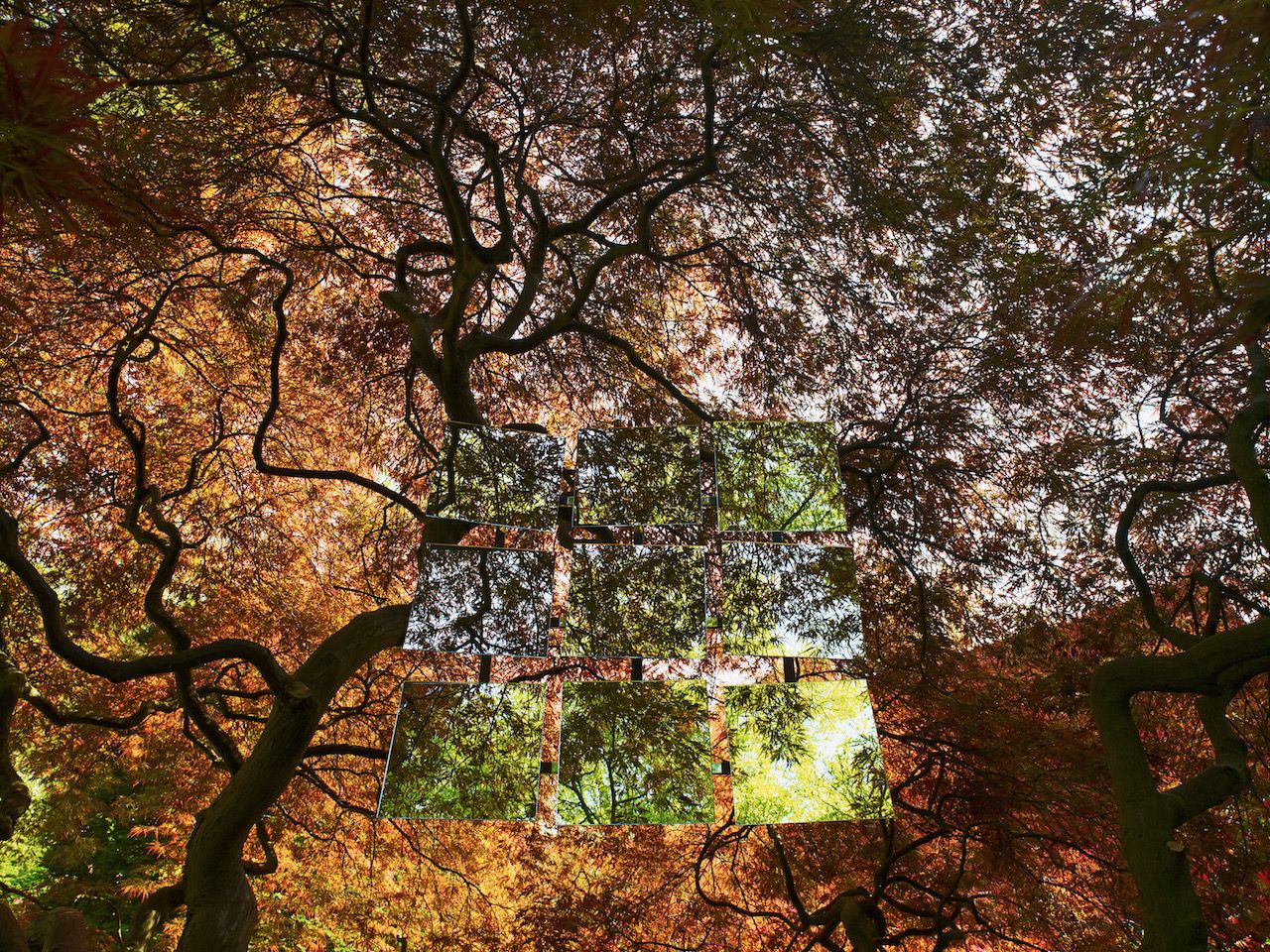 Michael Haegele Natur Fotografie Innen Sicht Baumkronen im Herbst und neun angeordneten Spiegeln 