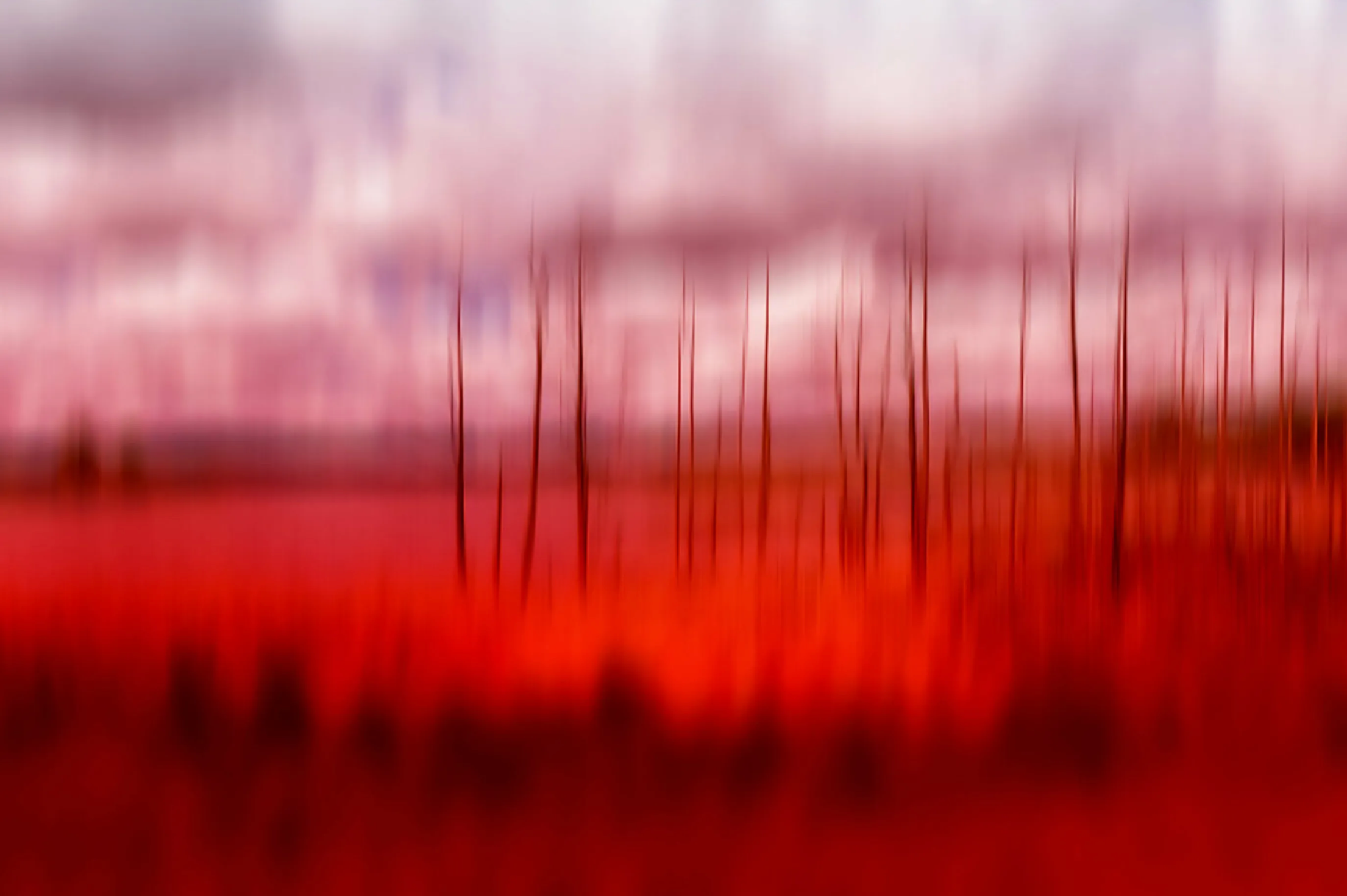 Manuela Herdrich s Werk "Lines 01" ist ein abstraktes Bild, das durch Unschärfe dominiert. Farbe Rot