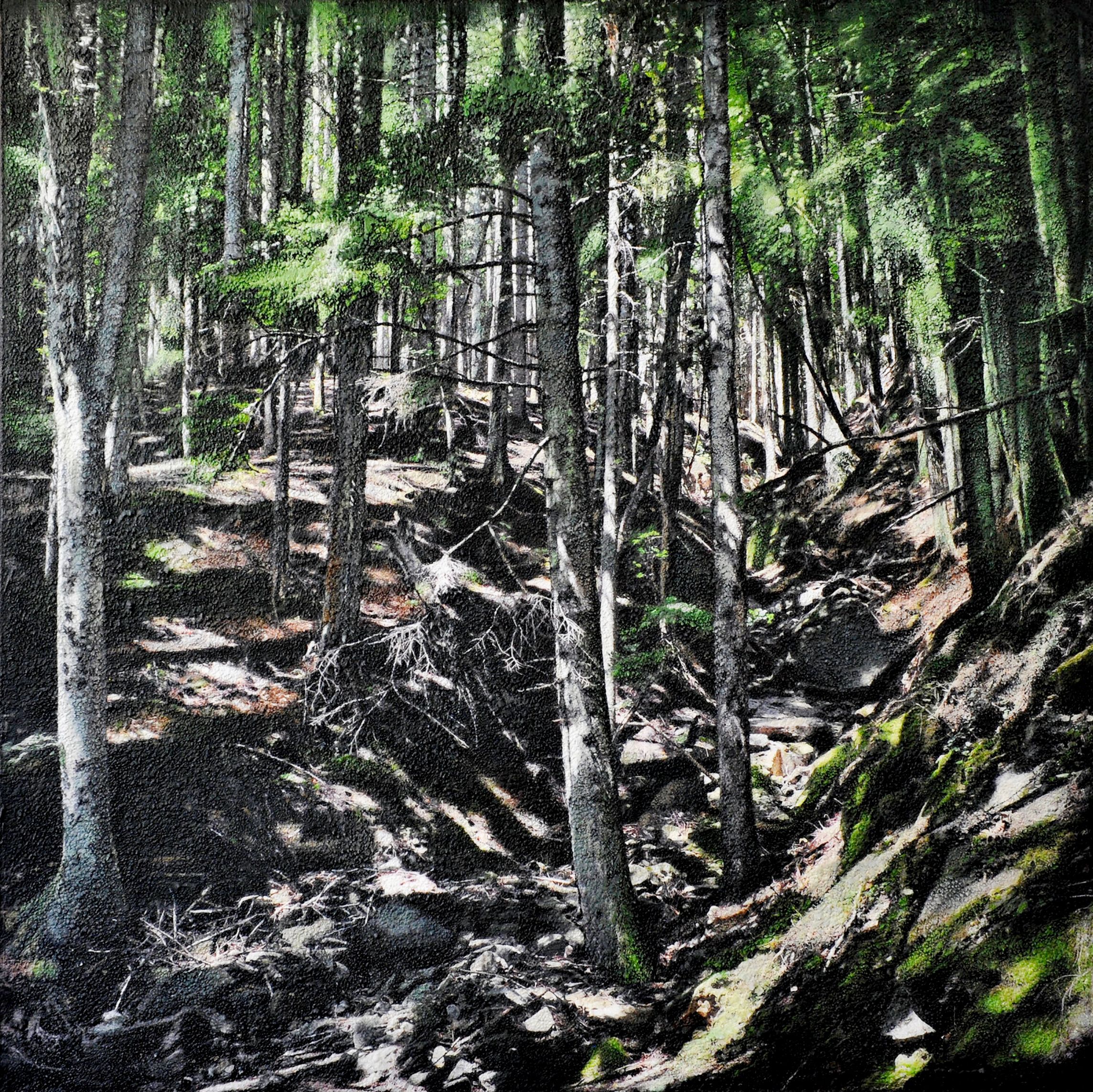 Riserva Statale Badia Prataglia", de Karin Vermeer, es una combinación y procesamiento digital de fotografías, pinturas y collage en una obra de arte única, muy estructurada y detallada. Casi puedes sumergirte en este paisaje forestal.