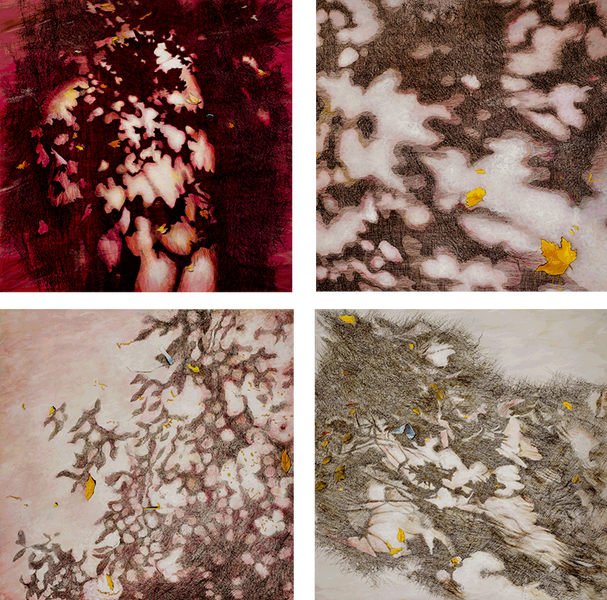 Maria Pia Pascoli abstrakte Malerei vier Teilig Baum Blätter Schatten