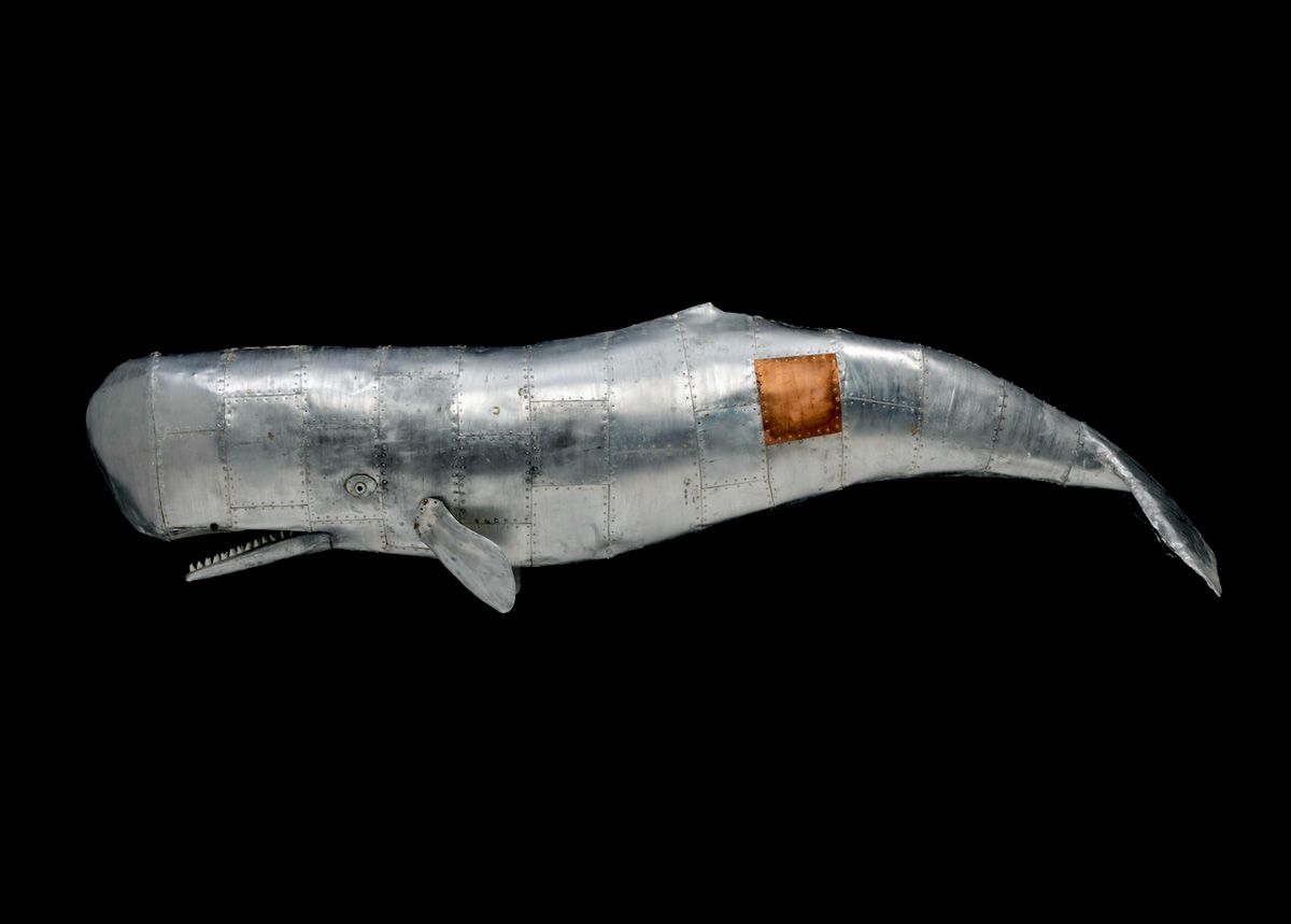 Stefano Prina Sculpture baleine argentée Moby Dick