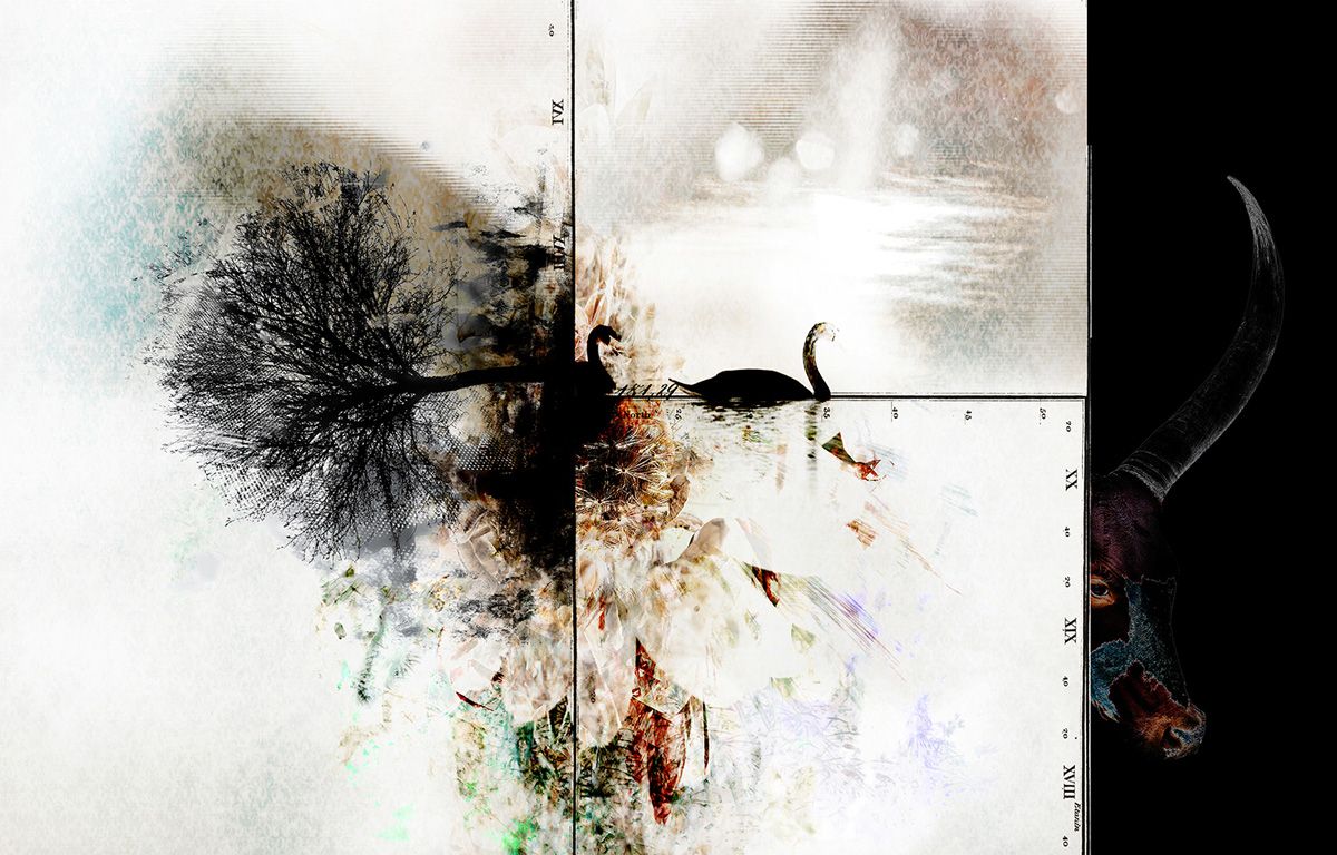 Jörg Conrad abstrakte Digital Collage Silhouette Baum und Schwäne auf dem Wasser