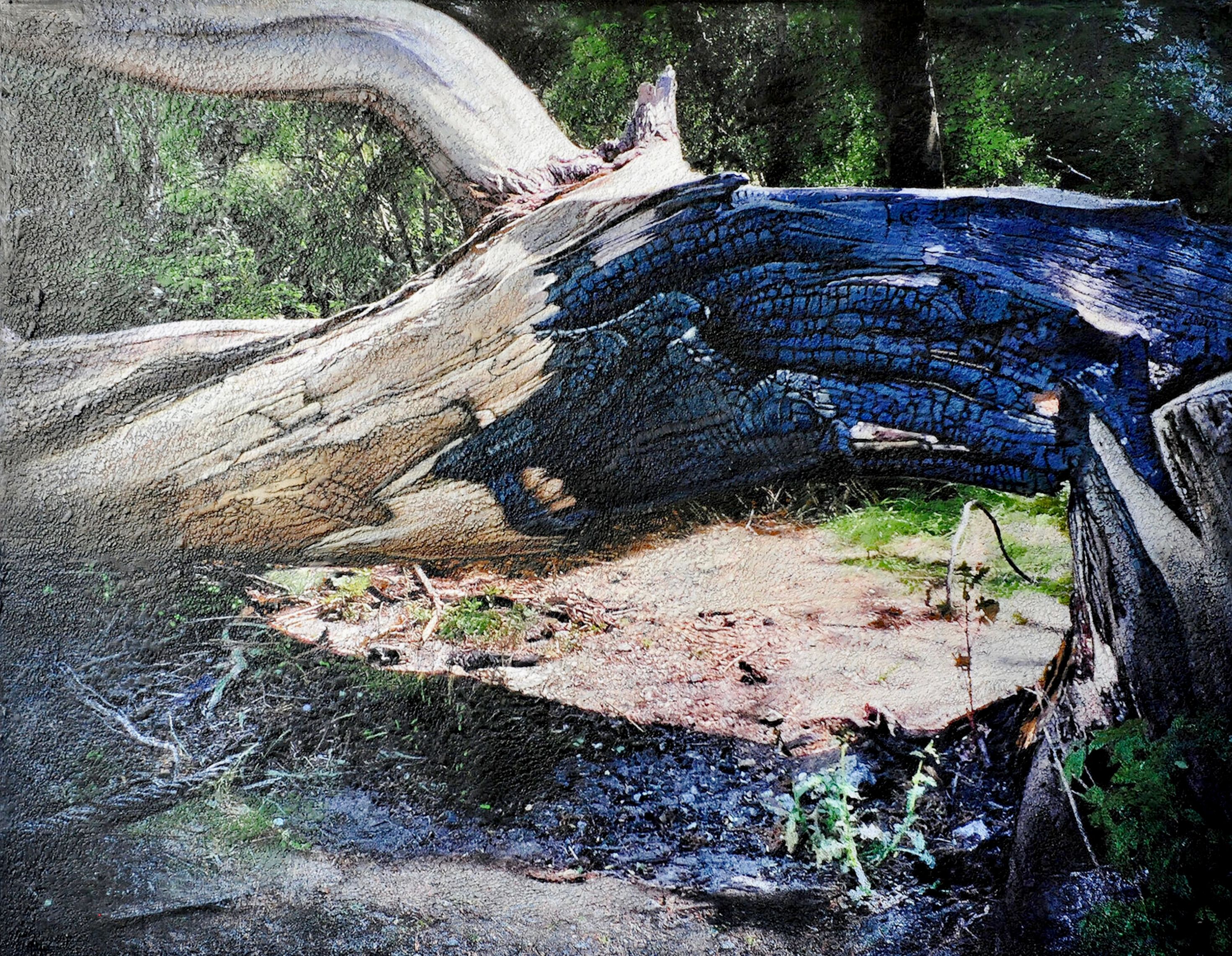 El cuadro "Charred tree Brienenoord island" de Karin Vermeer es una combinación y procesamiento digital de fotografías, pinturas y collage en una obra de arte única, muy estructurada y detallada. Casi puedes sumergirte en este paisaje forestal.