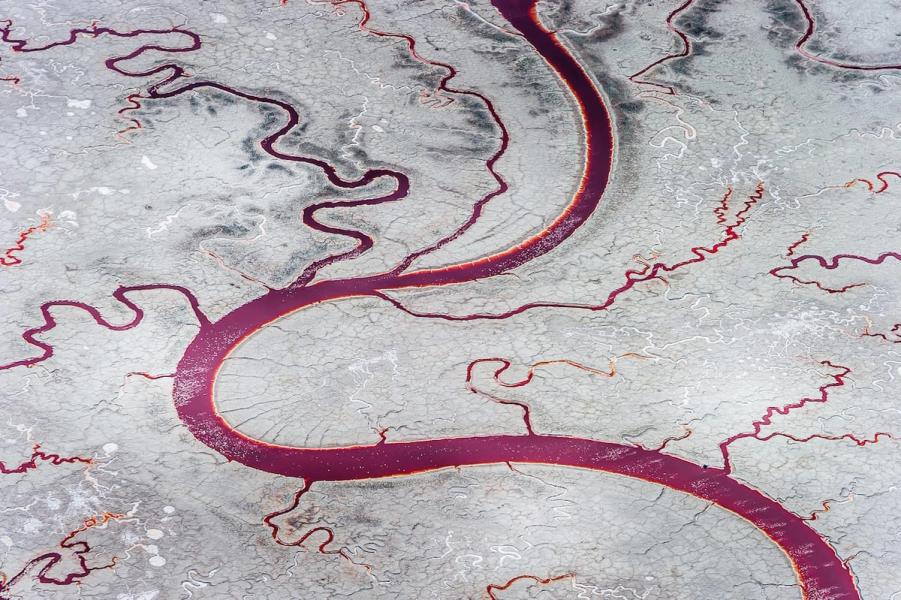Joe Willems Photography Landscape Aerial View San Francisco Salt Flats Blood Veins