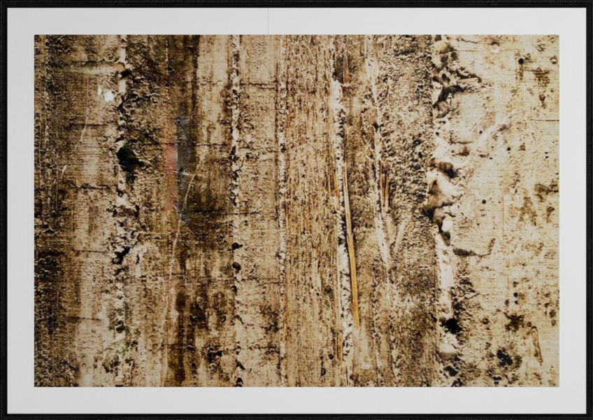 Georgia Ortner abstract photography stone wood structure
