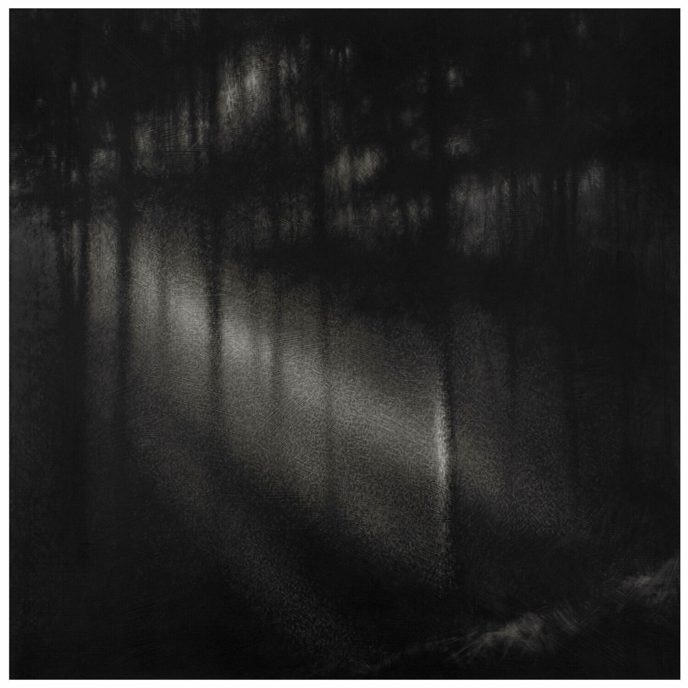 Danja Akulin Crayon Fusain Dessin forêt sombre floue avec faisceau lumineux