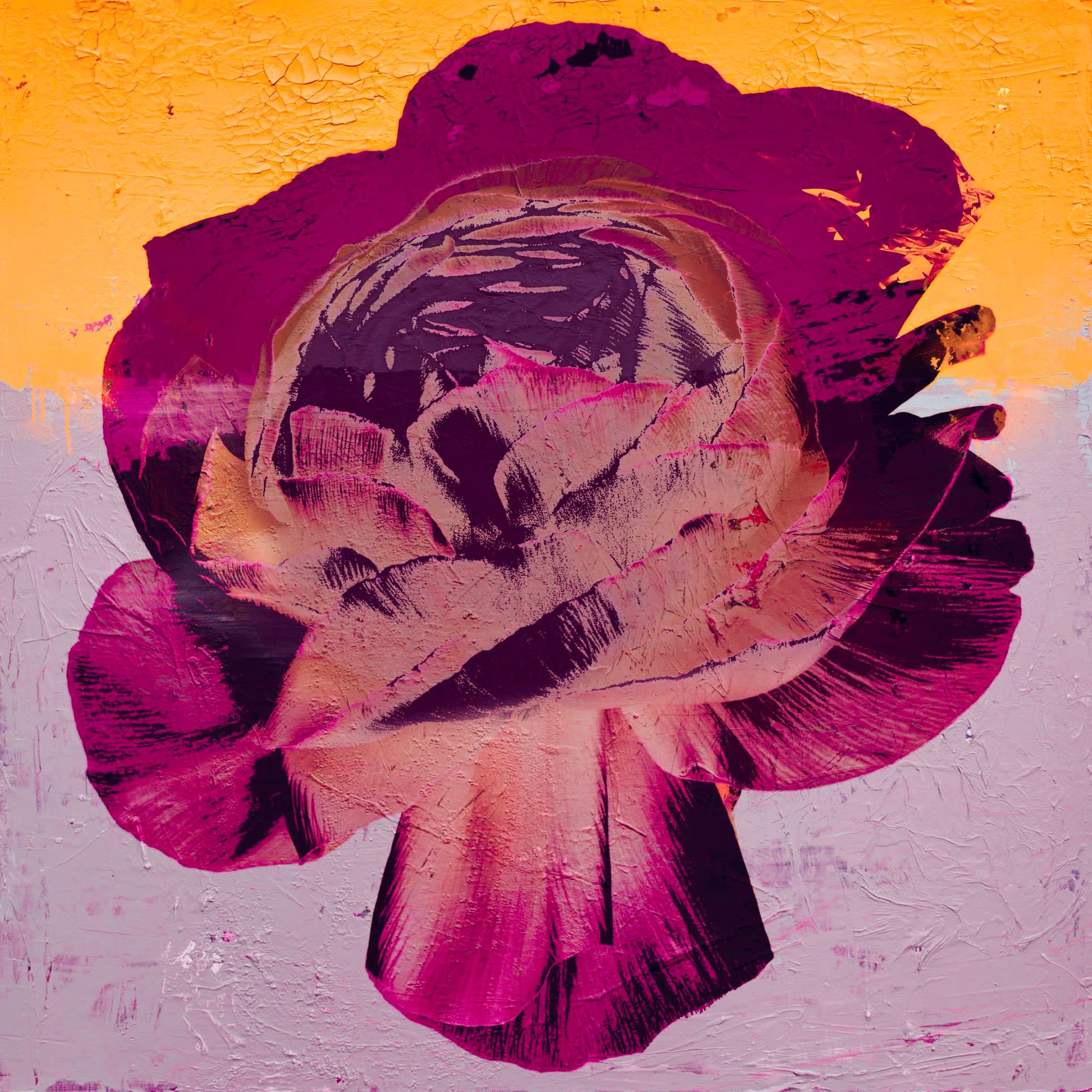 Teis Albers peinture abstraite fleur de rose sur fond orange et rose