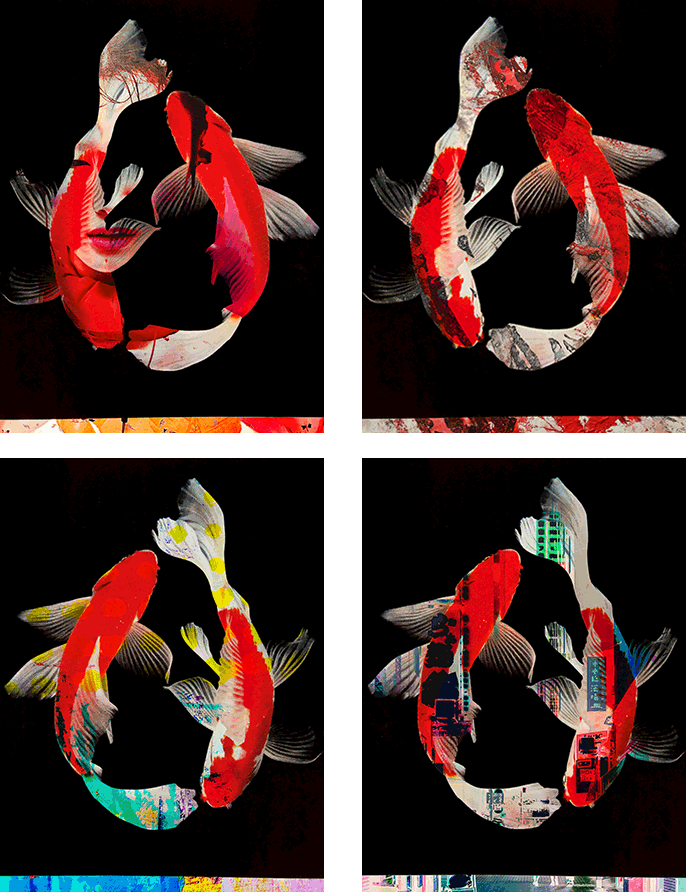 Manfred Vogelsänger abstract photography four pictures of two koi on black background