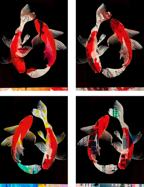 Manfred Vogelsänger abstract photography four pictures of two koi on black background