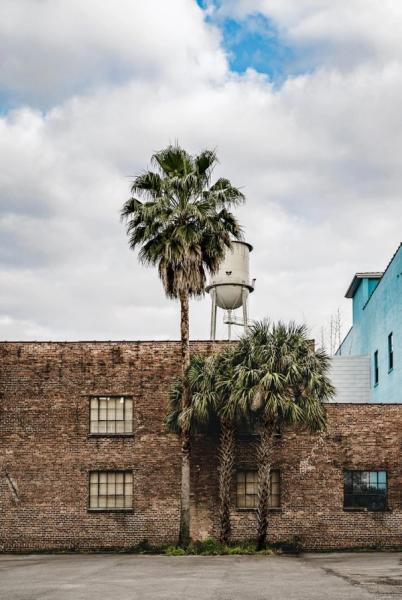 Georgia Ortner Photography Palm tree in front of brown brick wall and white water tower with cloudy blue sky