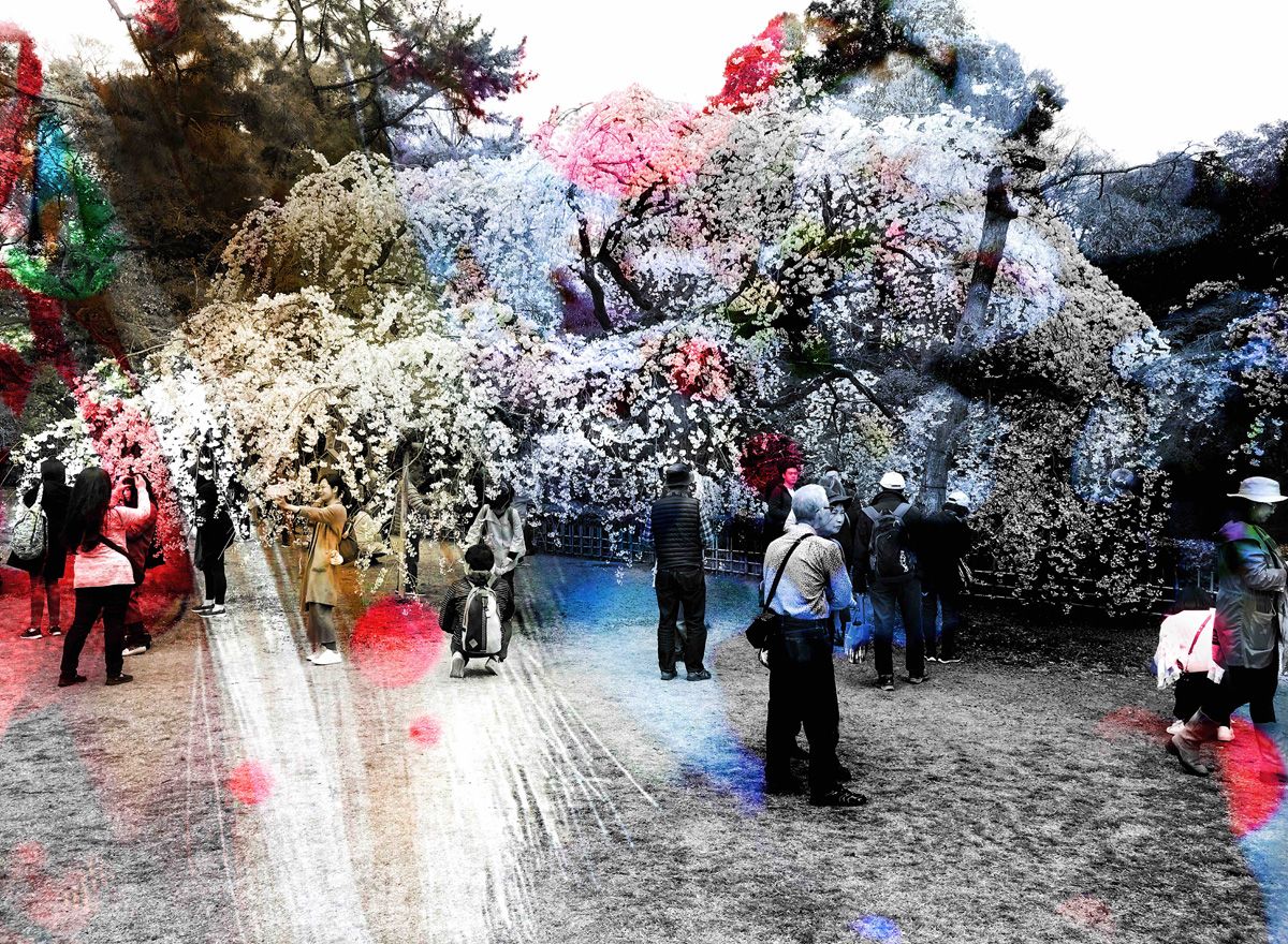 Delia Dickmann abstrakte Fotografie japanischer Kirschblüten Baum mit Menschen und Überlagerung Farbe