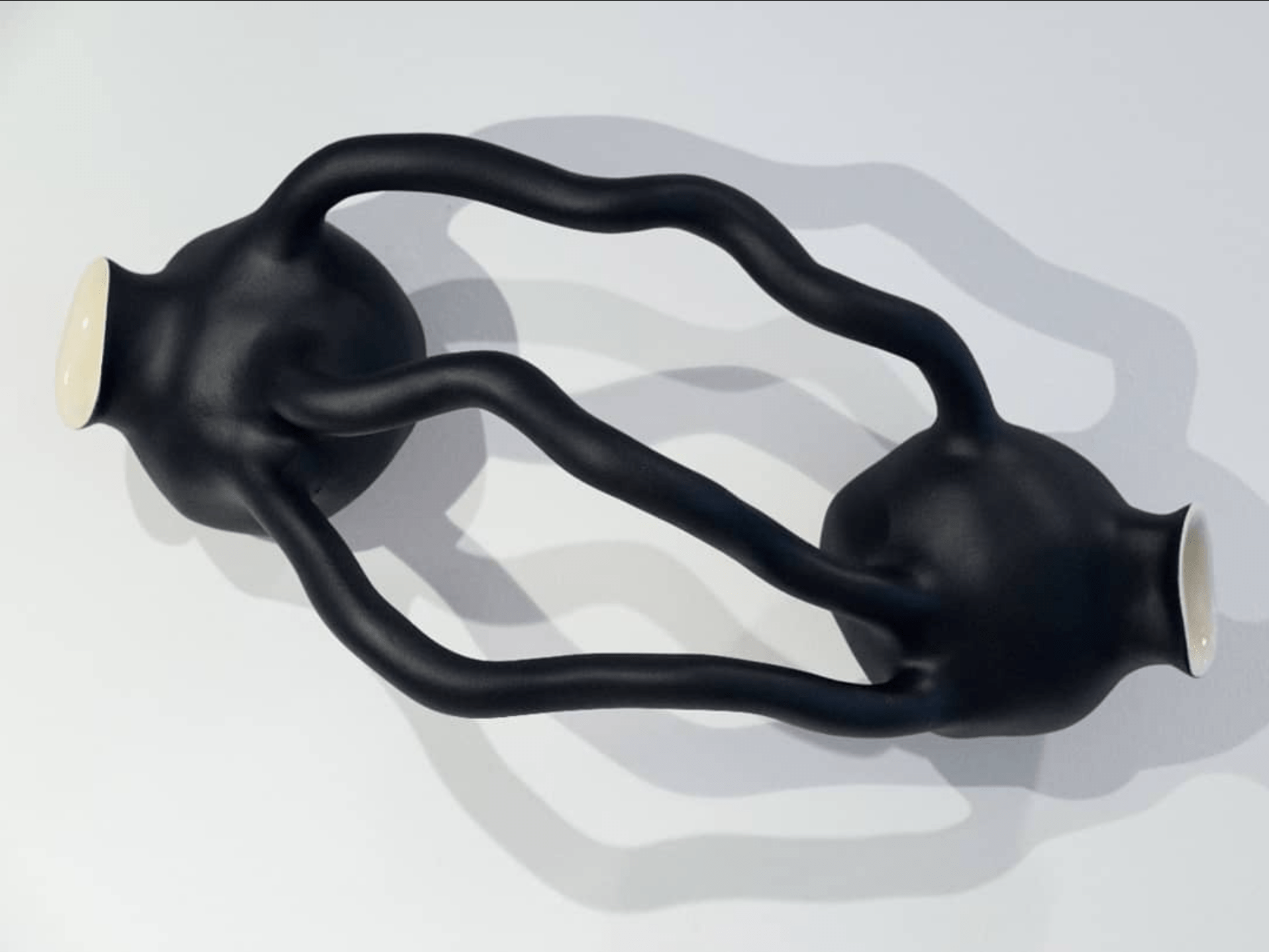 Pe Hagen抽象的黑色雕塑有机的形式