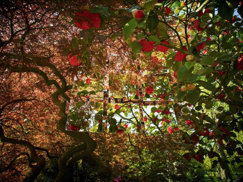 Michael Haegele Fotografia naturalistica Vista interna Cime di alberi con fiori rossi e rosa e nove specchi disposti